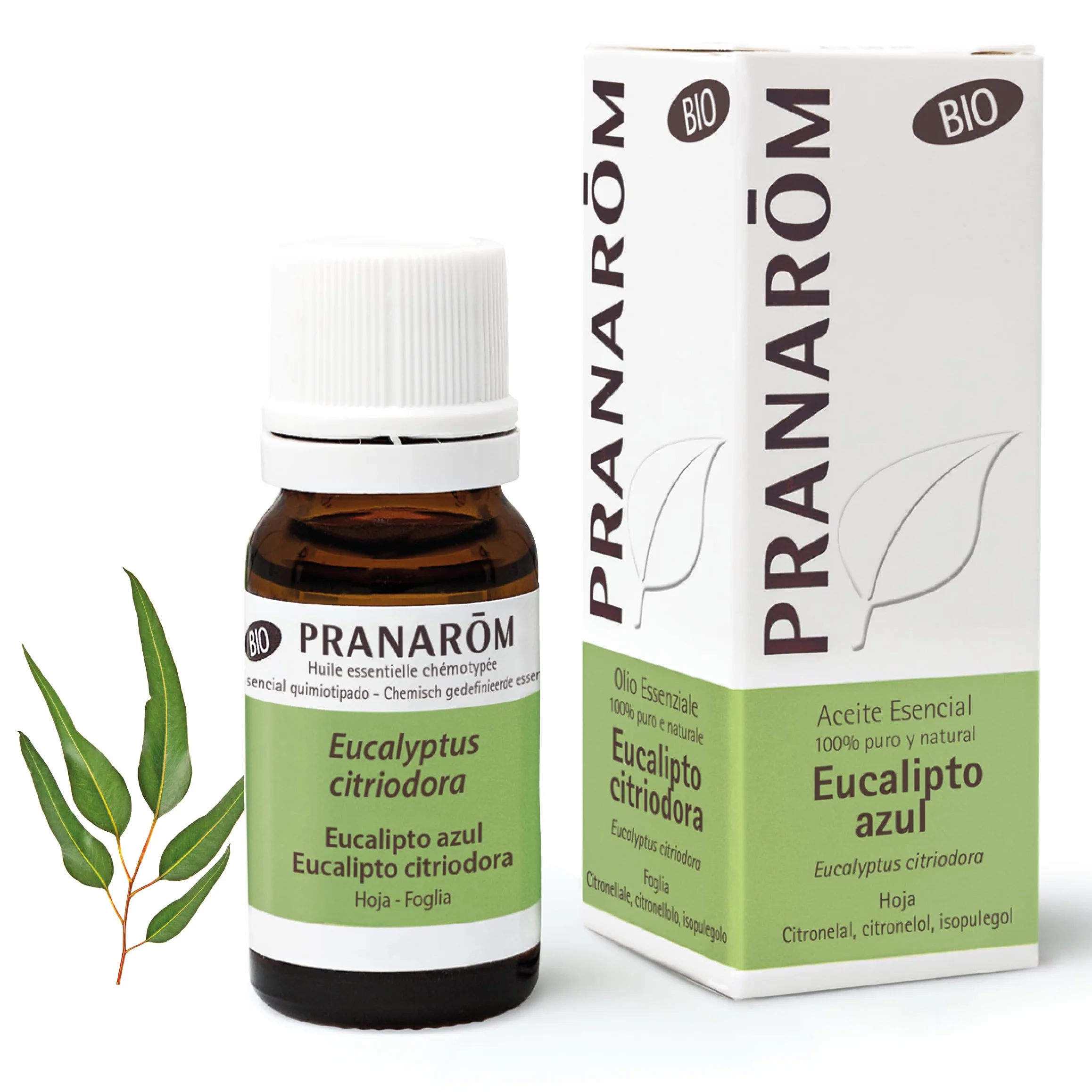 PRANARÔM - Olio Essenziale Eucalipto Citriodora BIO - Sollievo Naturale per Muscoli e Articolazioni - 100% Puro, Naturale e Chemiotipato OECT - 10ml