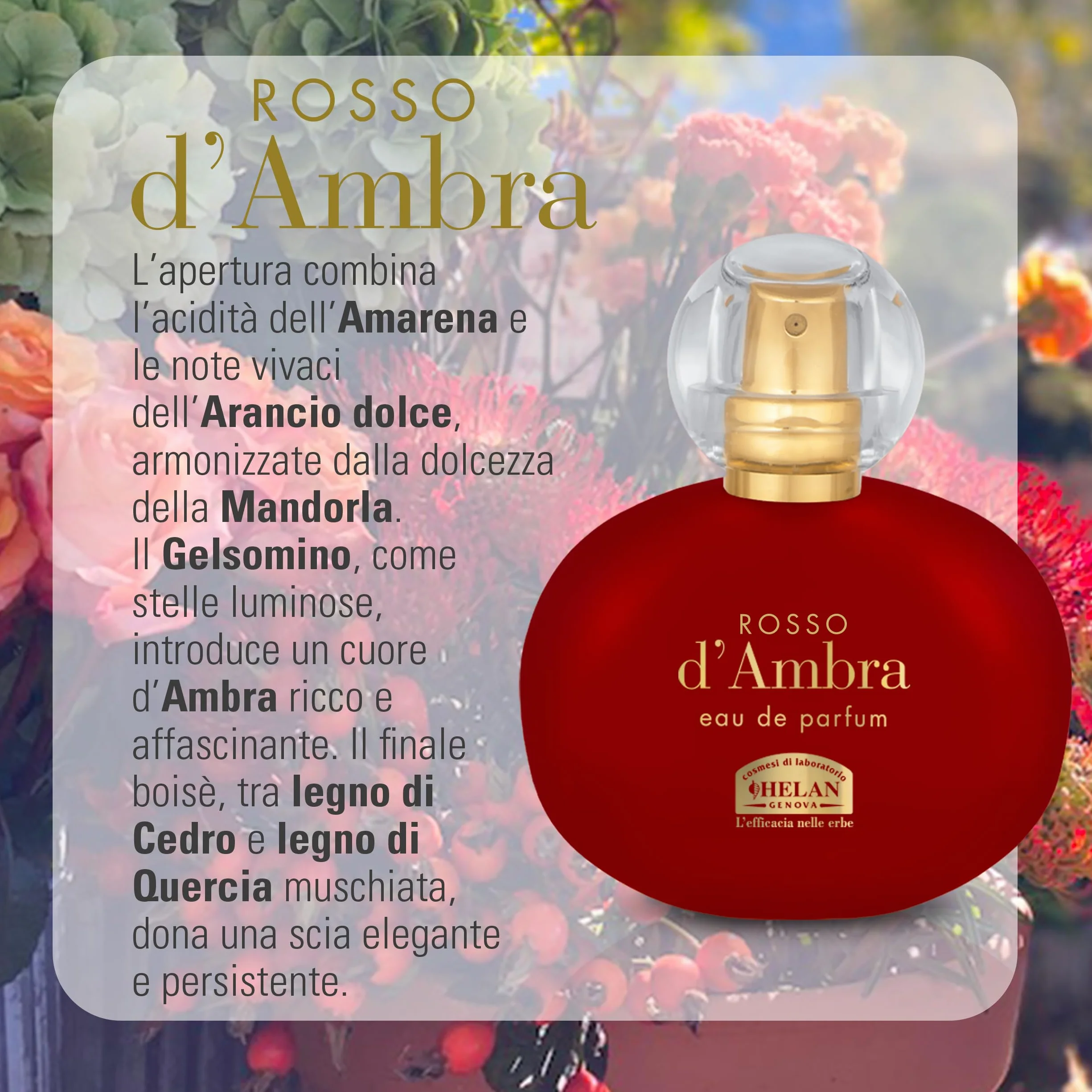 Helan, Rosso d'Ambra - Profumo Donna Avvolgente con Mandorle Dolci, Eau de Parfum Donna Fruttato Ambrato Legnoso, Profumi Donna dalle Note Equilibrate Dolci e Speziate, Fragranza Made in Italy, 50 ml
