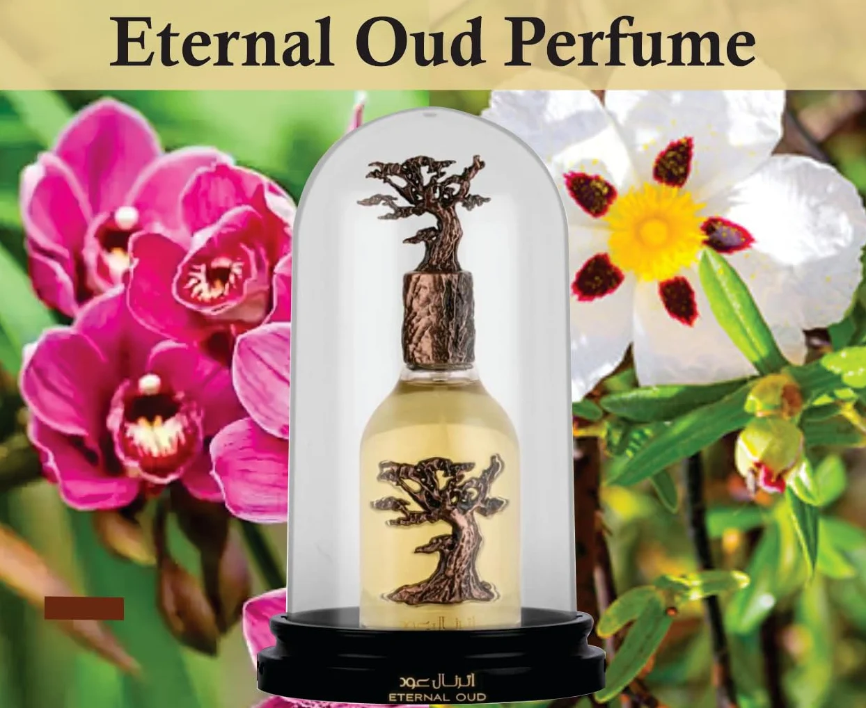 Sapphire's Choice Eternal Oud | Eau de Parfum Unisex 100 ml | Fragranza alla Vaniglia, Oud Arabo e Ambra