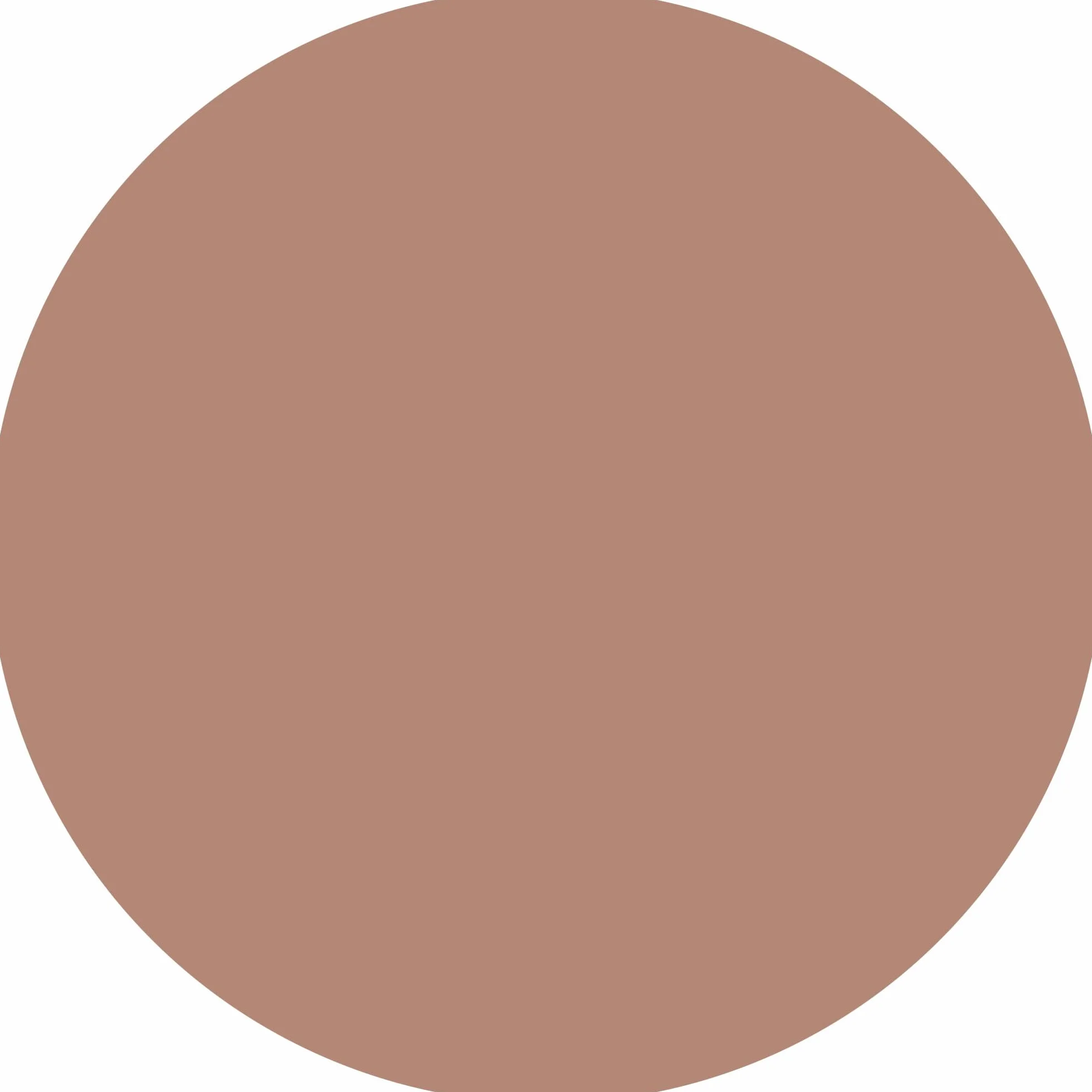 WYCON cosmetics BRONZING POWDER maxi terra abbronzante compatta specifica per scolpire il viso (103 dark)