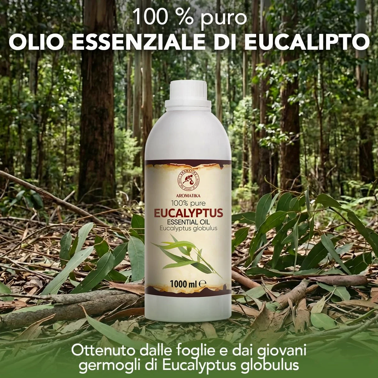 Olio Essenziale di Eucalipto 1000 ml - Eucalyptus Globulus - Naturale e Puro - Olio essenziali per Diffusori - Profumi per la Casa - Saponi e Candele - Sauna - Aroma Eucalipto - Aromaterapia