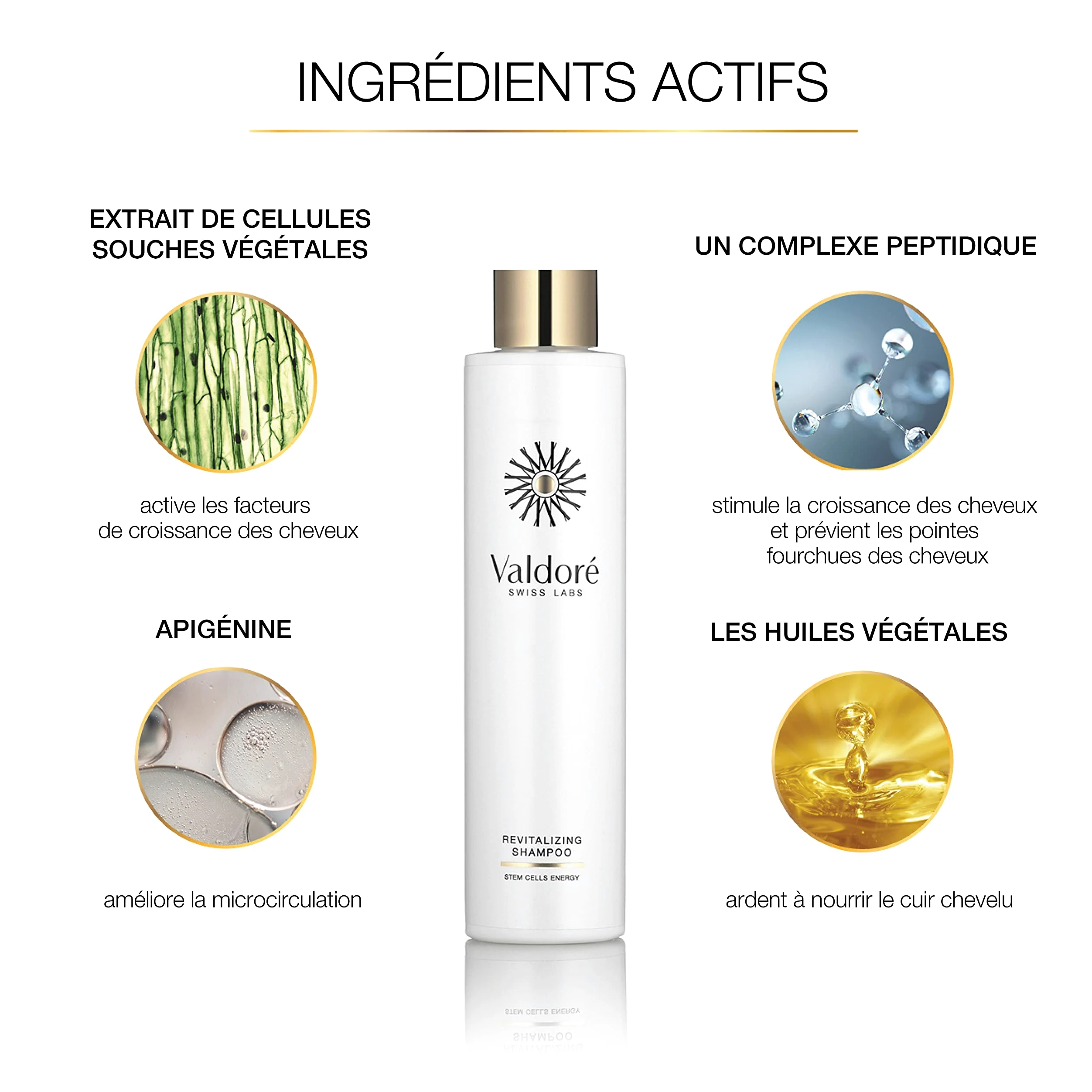 Shampoo Rivitalizzante - Shampoo per la Crescita dei Capelli con Cellule Staminali, Biotina, Oli Vegetali - Idratante per Capelli Diradati e Cuoio Capelluto Sensibile - Aroma Delicato, 200ml
