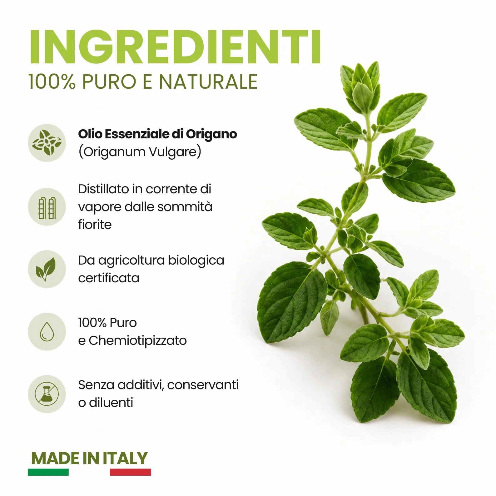 Olio Essenziale di Origano Bio 10ml Puro Naturale Aromaterapia Diffusori Uso Alimentare Made in Italy Gisa Wellness