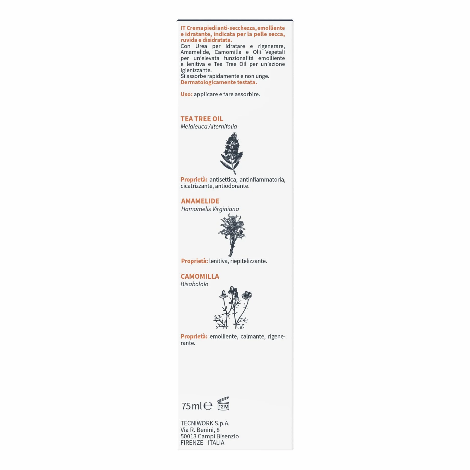 Tecniwork Crema Piedi Rigenerante 75 ml con Tea Tree Oil, Urea, Amamelide e Camomilla
