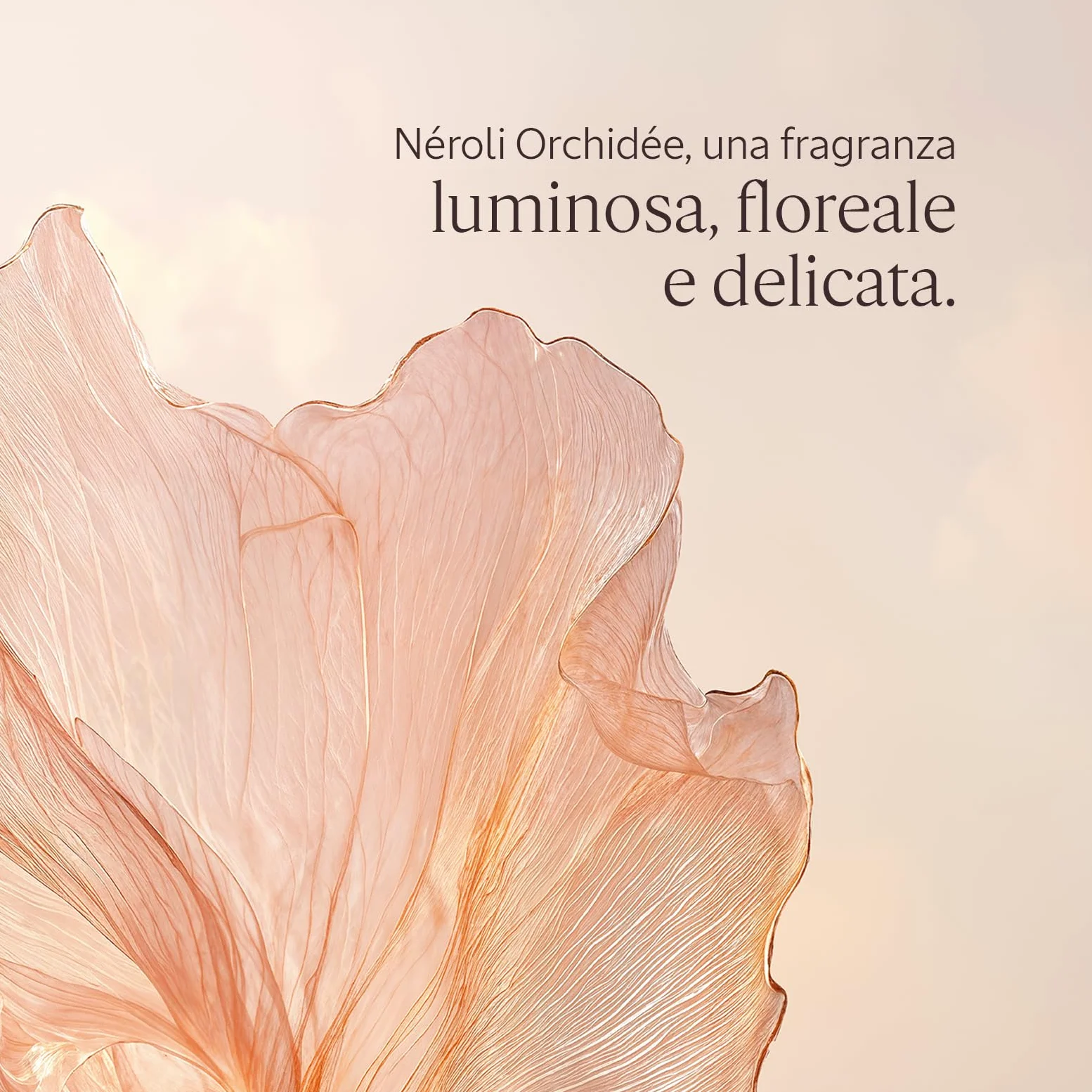 L'OCCITANE - Eau de Toilette Néroli Orchidée (Néroli Orchidea) - 50 ml