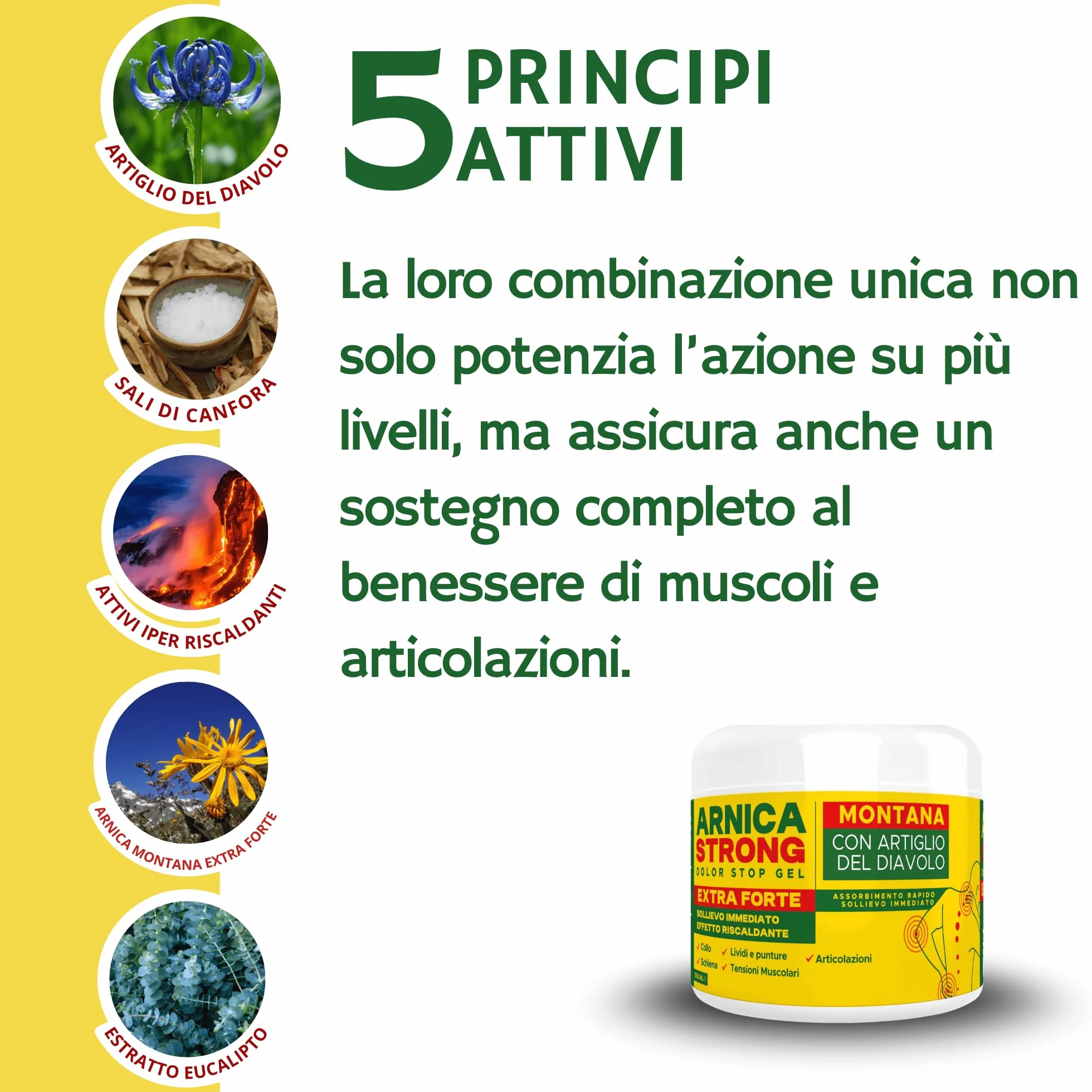 Arnica gel Forte - Arnica Per Cavalli Uso Umano 99% e Artiglio Del Diavolo forte crema riscaldante muscoli sportiva per massaggio cervicale e lombare-ImmunoSTRONG