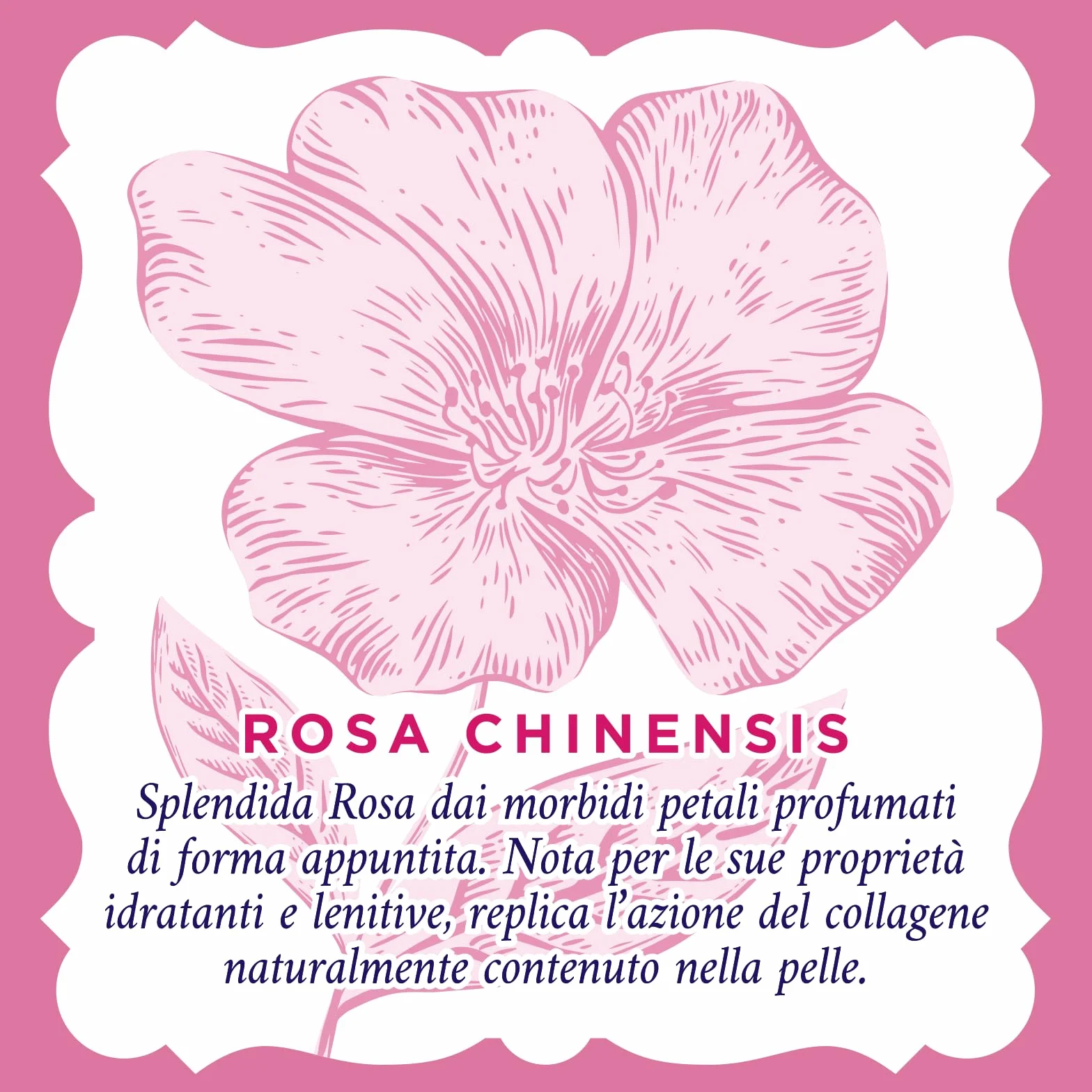 Acqua alle Rose Acqua Micellare Lenitiva per Pelli Sensibili, Detergente e Struccante Delicato Viso, Occhi, Labbra, 200 ml