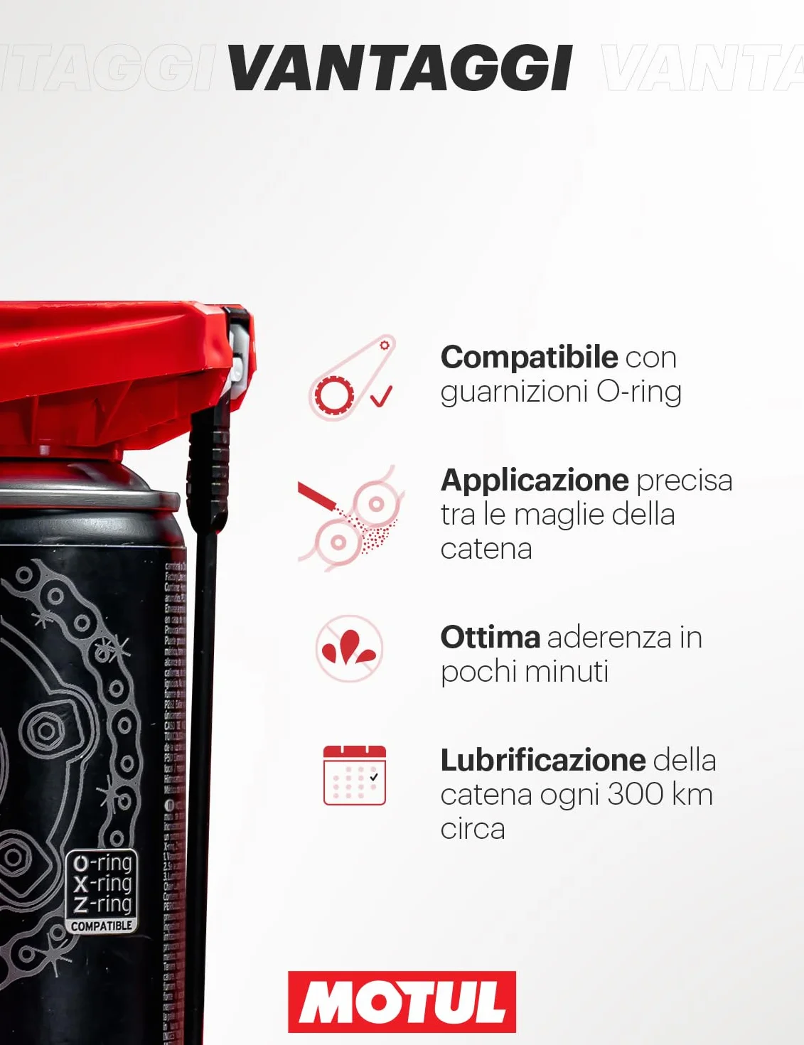 MOTUL C2 Chain Lube Road Lubrificante per catena 400 ml