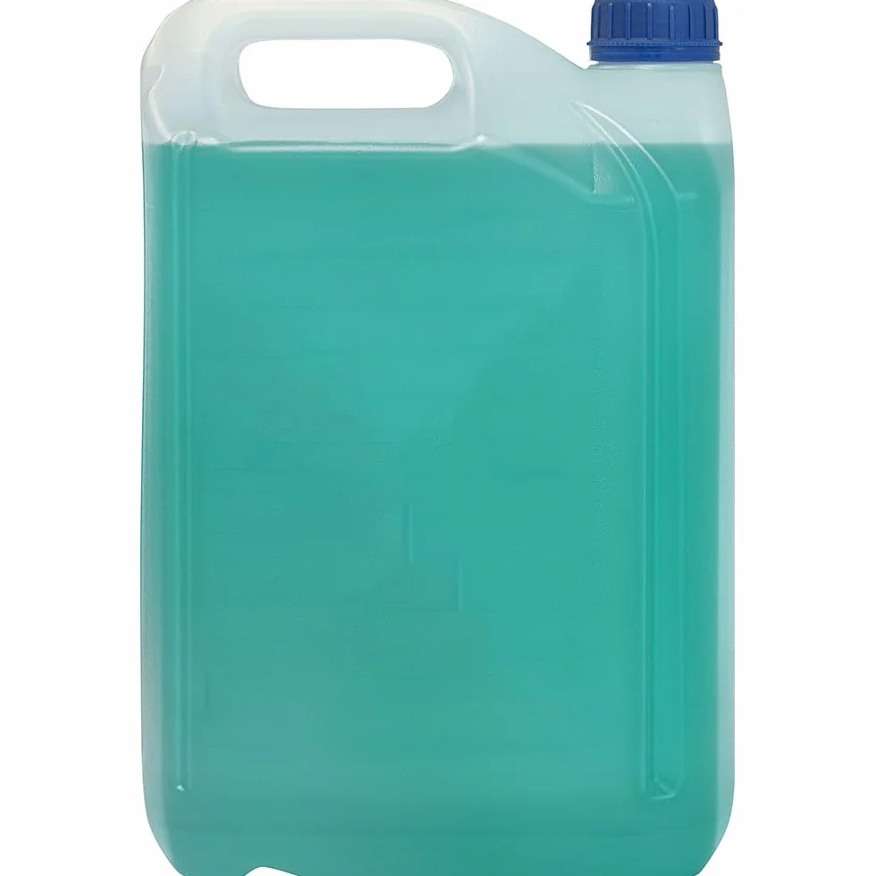 Rain-X Liquido Lavavetri Antipioggia Elimina Insetti 5L