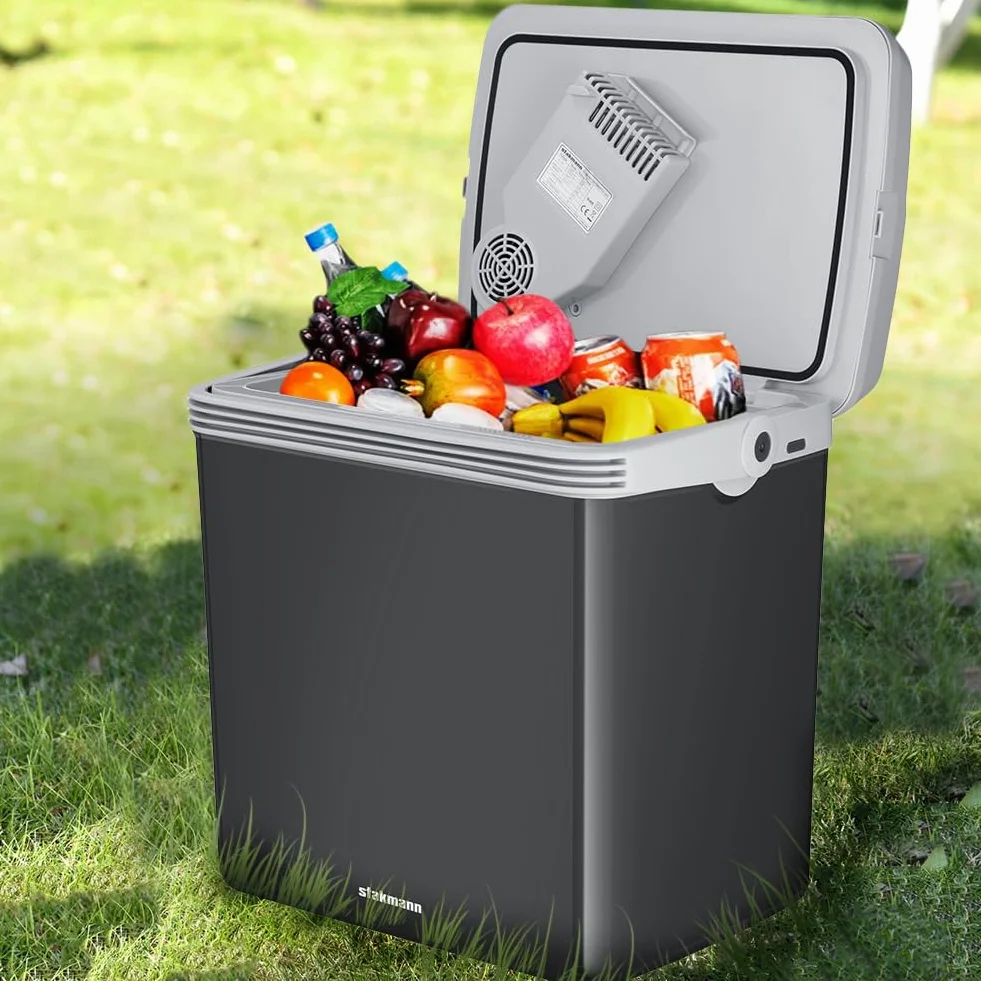 Frigorifero Elettrico Portatile 32 Litri, Mini Frigo 230V 12V, Freddo e Caldo per Camion Auto Campeggio
