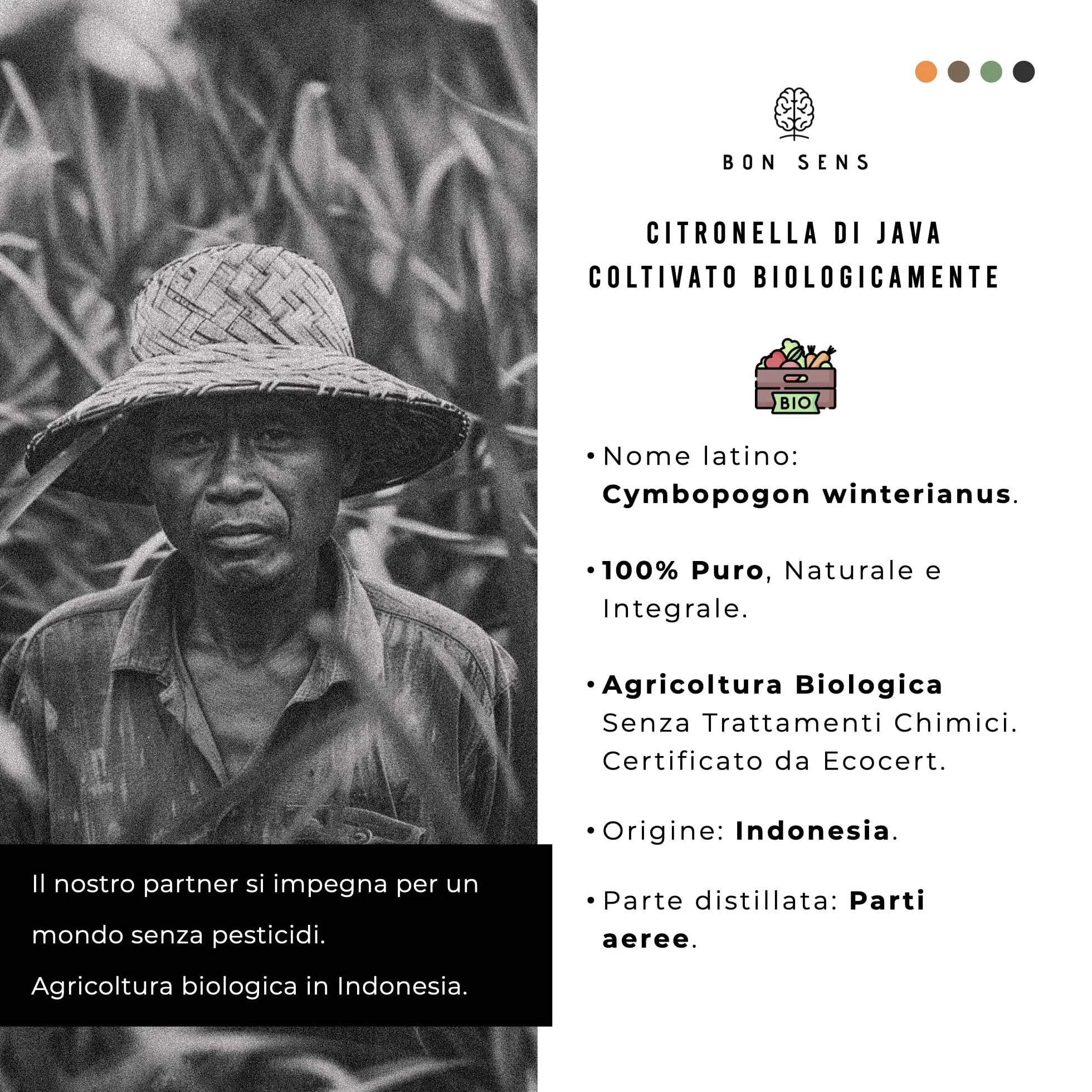 Olio Essenziale di Citronella BIO 50ml - 100% Puro - Repellente Naturale Anti Zanzare
