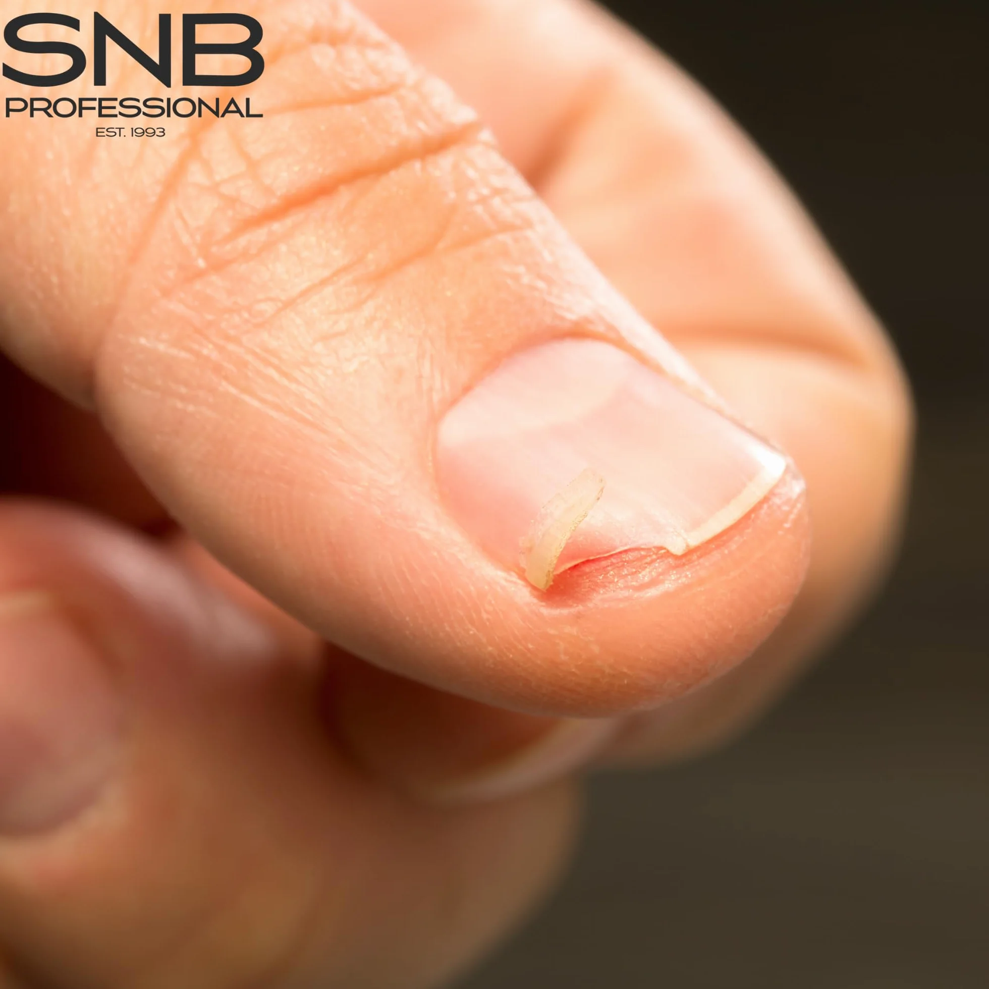 SNB Professional - Addolcitore per unghie con bisabololo, 50 ml, cura efficace dei denti delle unghie e dei bordi delle unghie induriti, ammorbidente per cuticole e piastre per unghie, cura