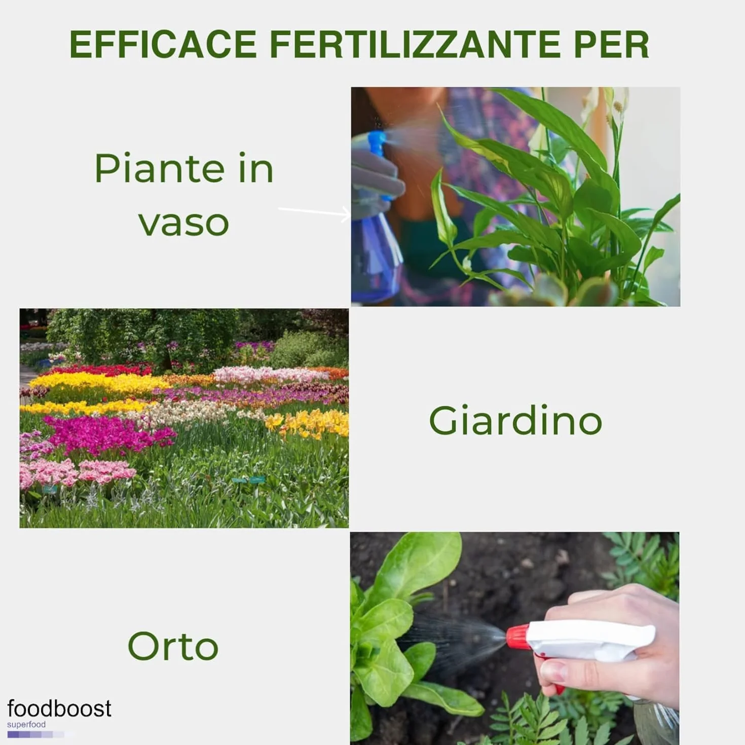 Sale Epsom Puro 1Kg Foodboost, Naturale al 100%, Ricchissimo di Magnesio, Efficace per la Bellezza di Corpo, Pelle e Capelli, Ottimo come Fertilizzante