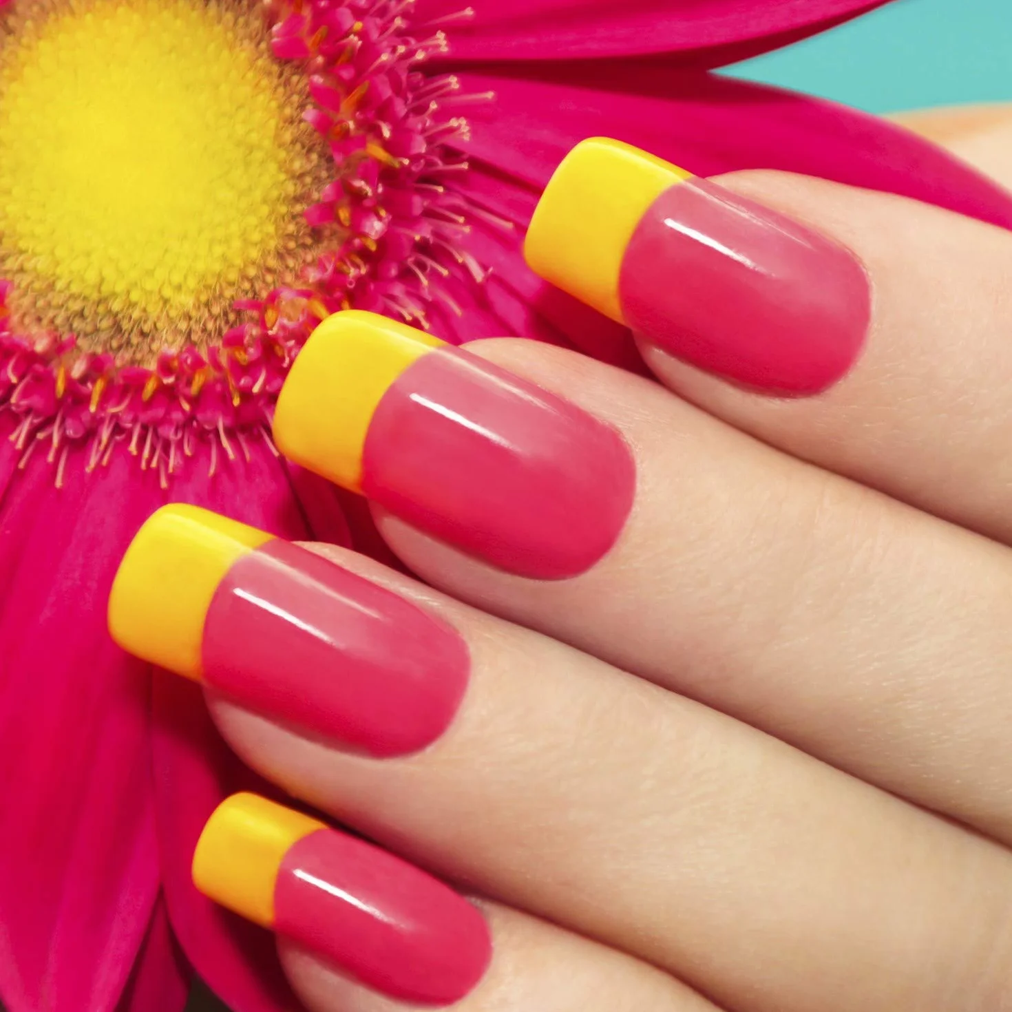 Mylee Pennello a doppia punta per Polymer Gel – Spatola e setole, Nail art UV/LED, Decorazione unghie