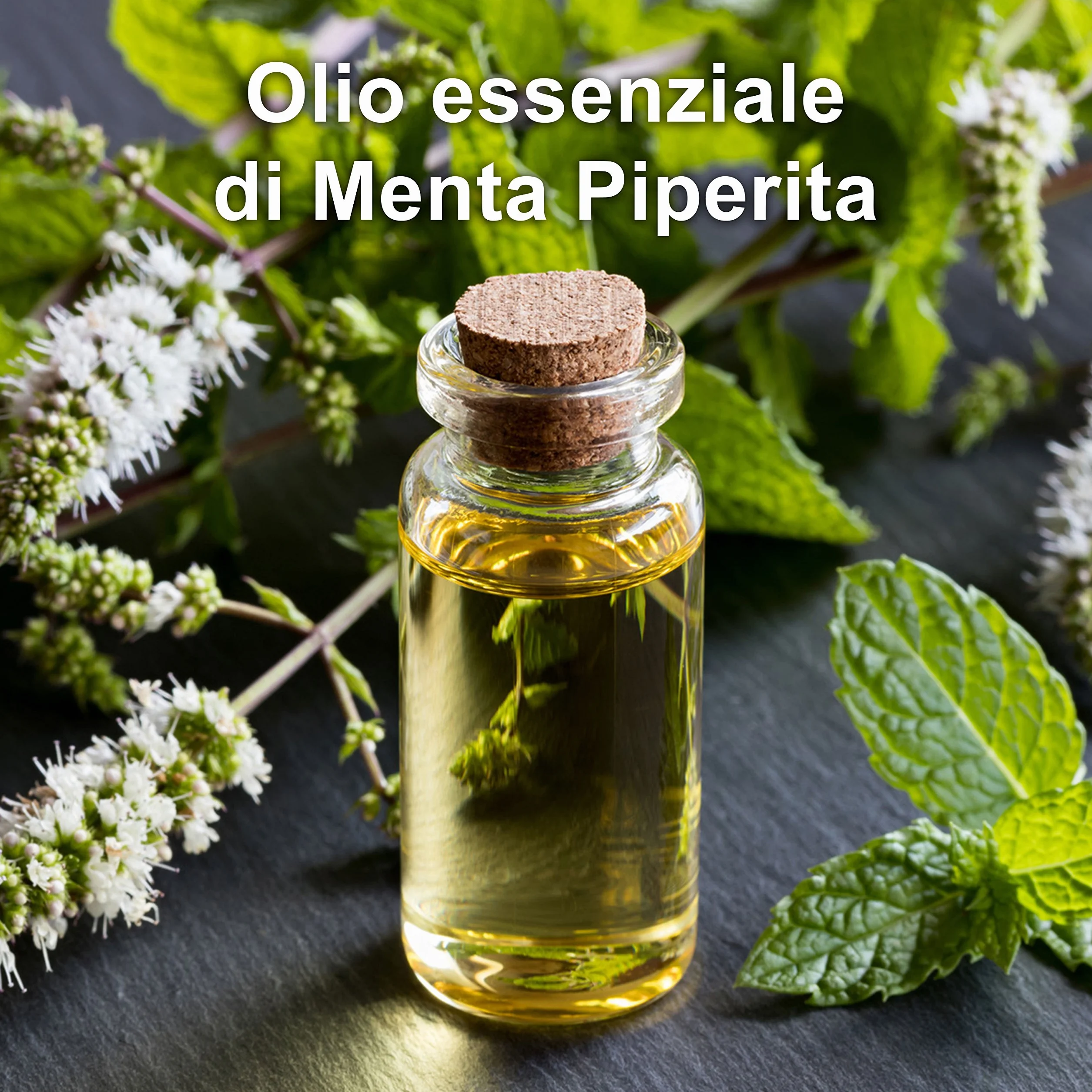 Olio Essenziale di Menta Piperita Bio 100% Puro 30 ML Repellente Certificato OEBBD OECT