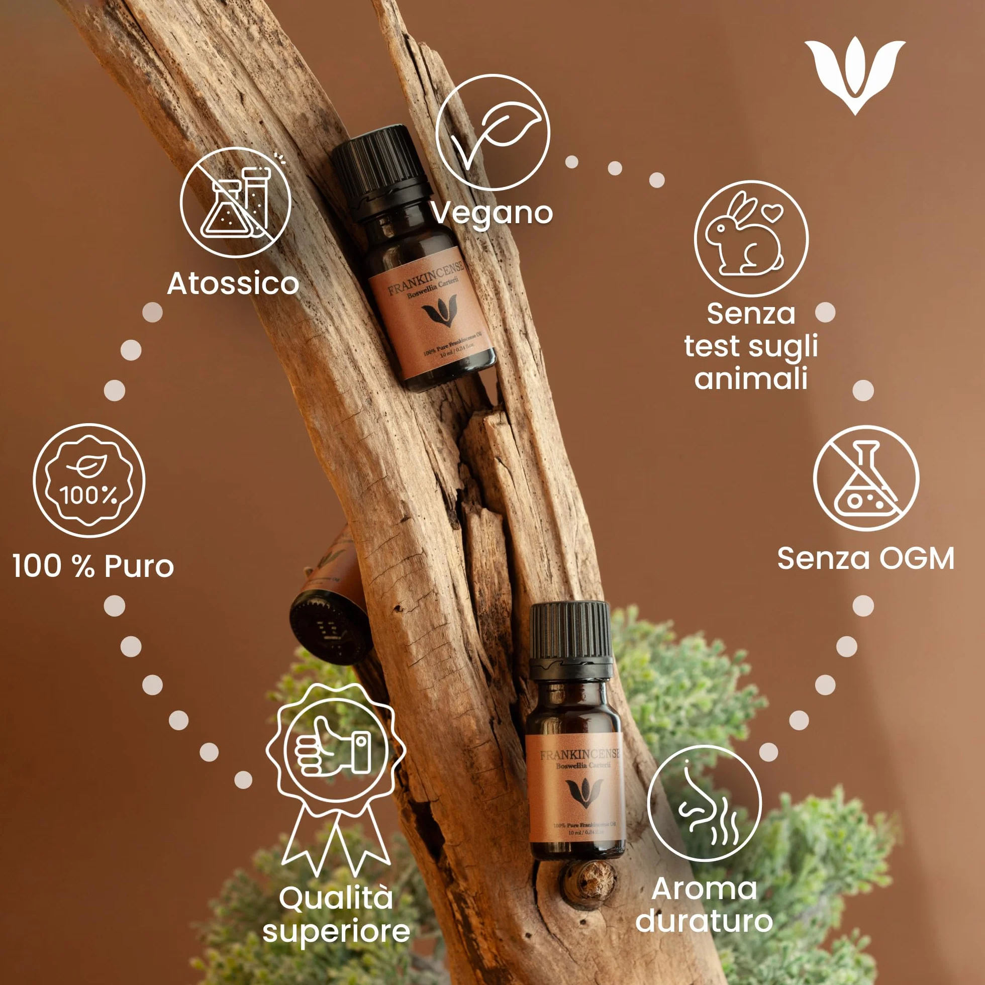 Olio Essenziale Incenso Puro 100% 10ml Naturale Distillato a Vapore per Viso e Diffusore