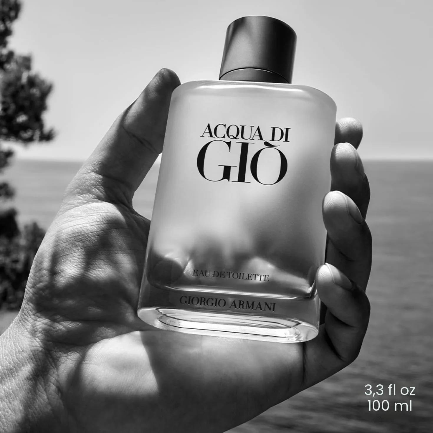 Giorgio Armani Acqua di Gio Homme Eau de Toilette 100 ml