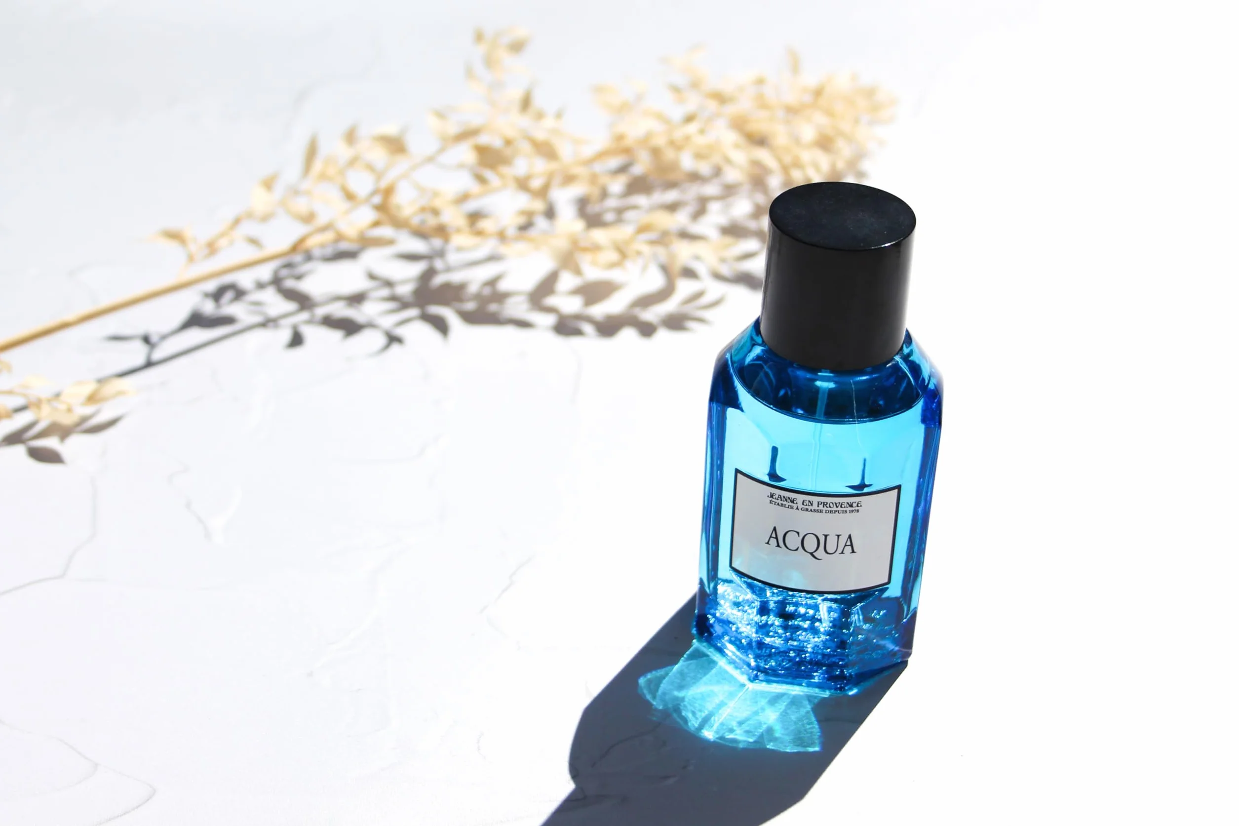 JEANNE EN PROVENCE - Cofanetto Regalo per Uomo - Acqua - Eau de toilette 100 ml + Gel doccia integrale 150 ml - Profumo Musc Santal - Prodotto e confezionato in Francia a Grasse