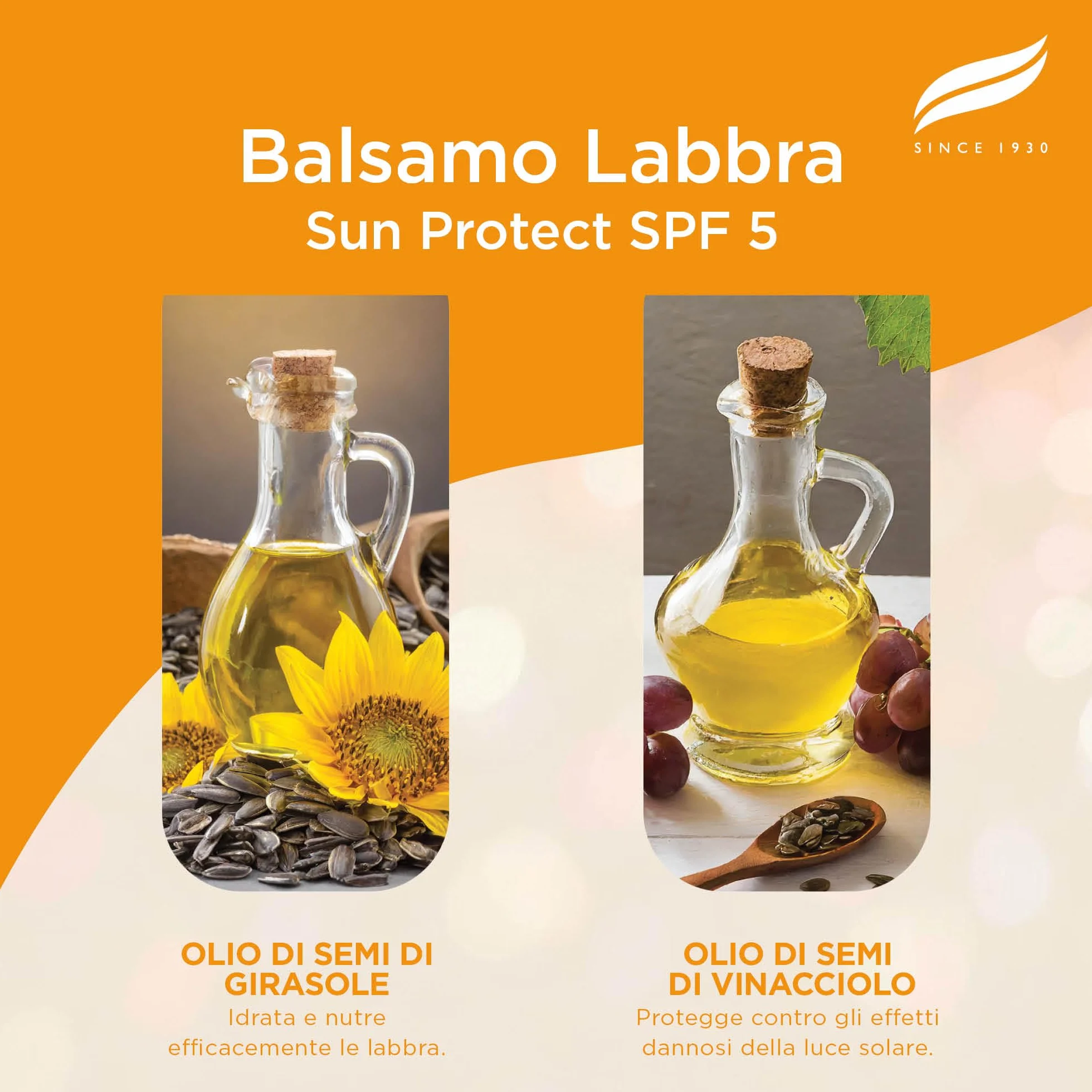 Himalaya Sun Protect Balsamo per Labbra SPF 50 Protezione UVA 4.5g