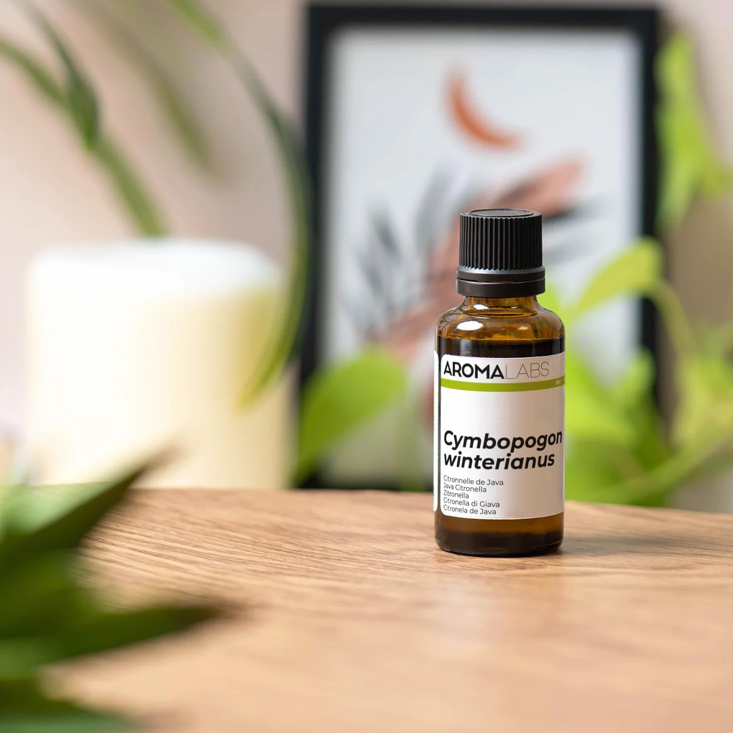 Olio Essenziale Citronella di Giava BIO Cymbopogon winterianus 30 mL Aroma Labs