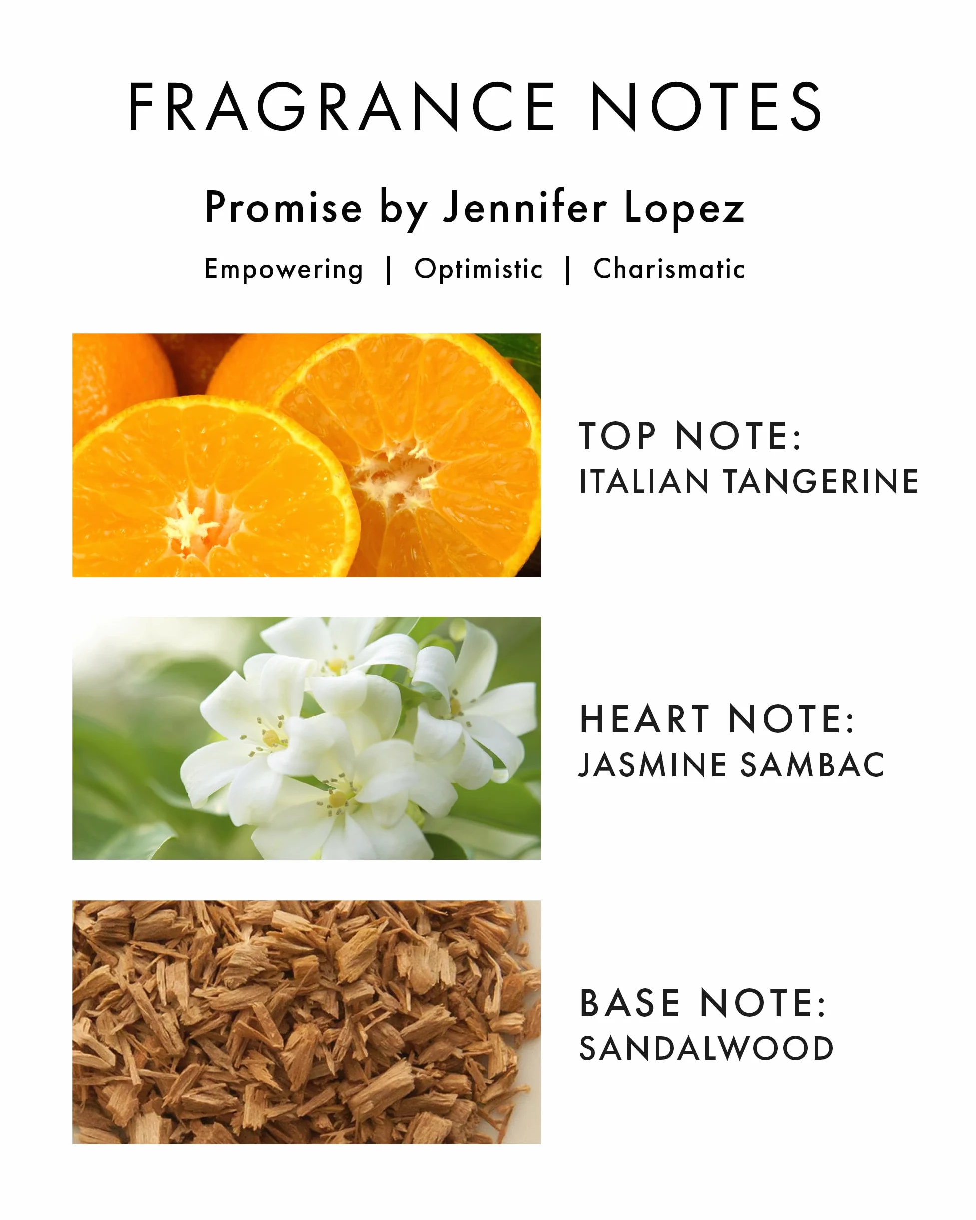 Jennifer Lopez Promise Eau De parfum, spray, 50 ml. Una delicata fragranza da un rivenditore autorizzato.