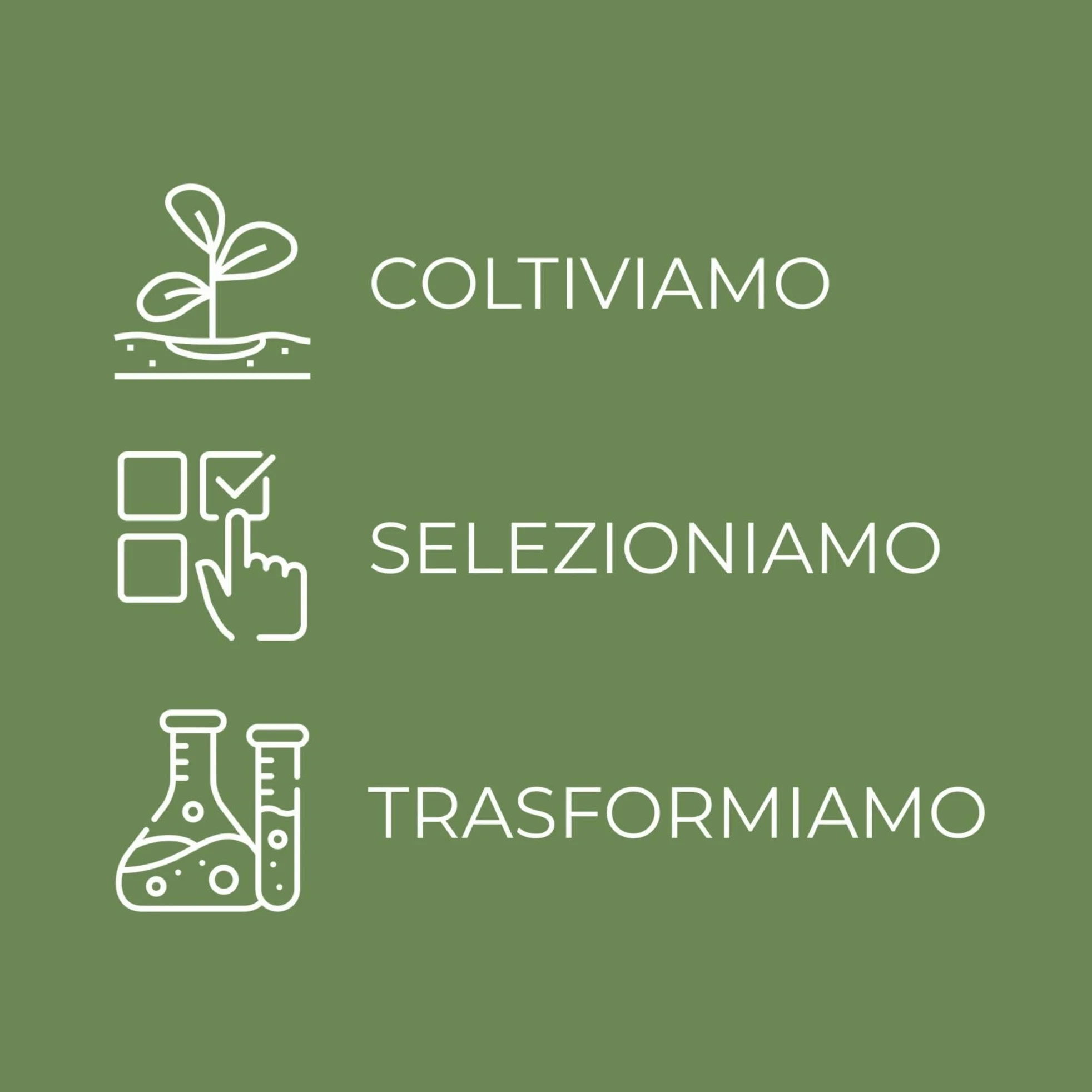 Bottega Verde - Trattamento Collo e Décolleté, Effetto Lifting, in Crema, 50 ml, Azione Antietà, Effetto Elasticizzante, per Tutti i Tipi di Pelle
