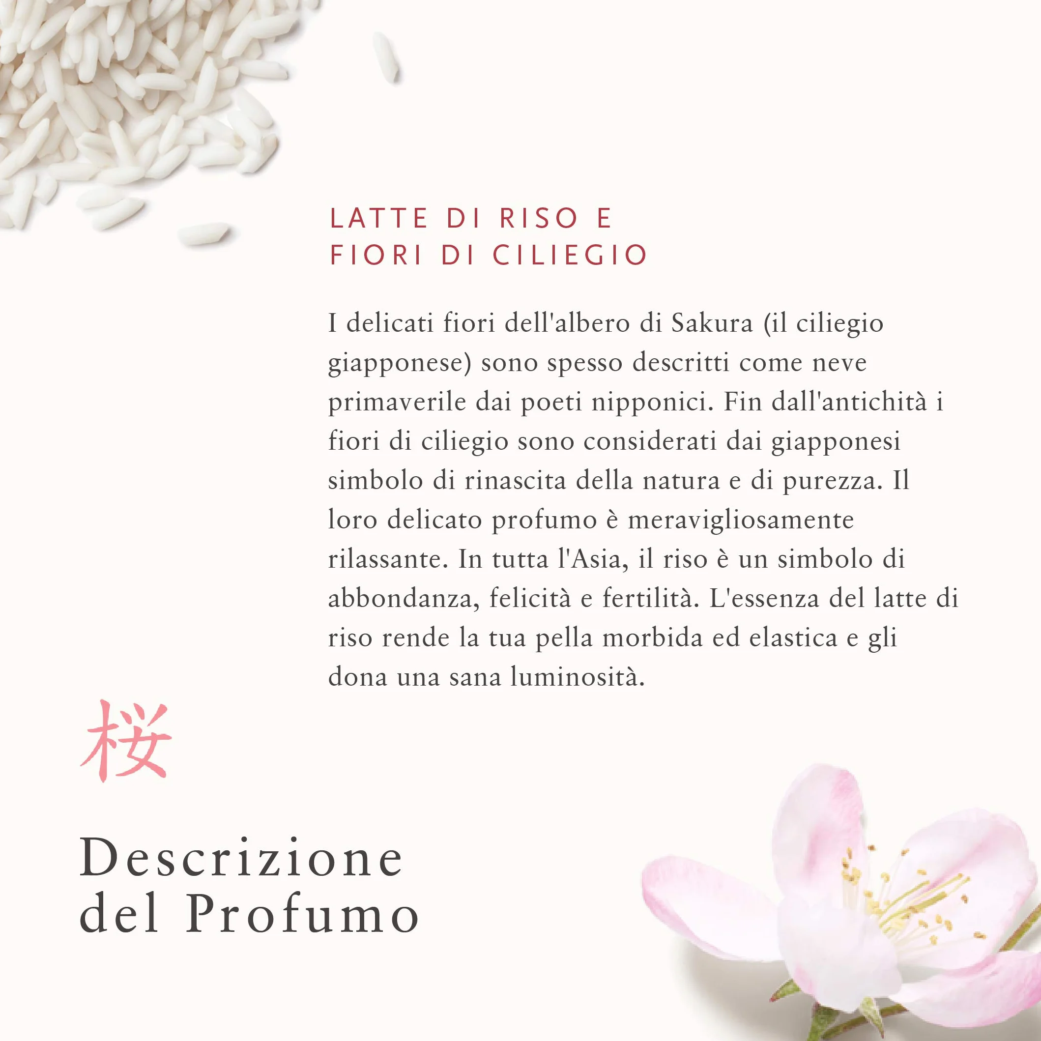 RITUALS Balsamo Mani di The Ritual of Sakura, 70 ml - Con Latte di Riso & Fiore di Ciliegio - Proprietà Nutrienti per la Pelle