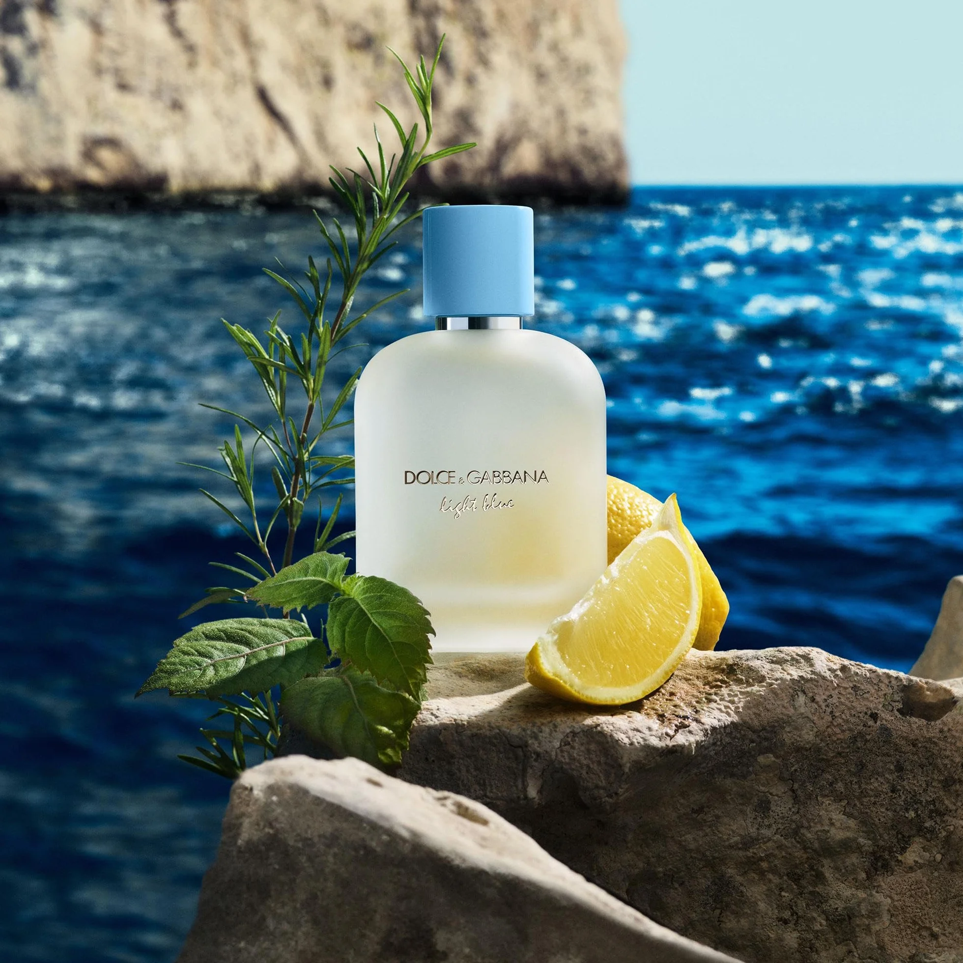 Dolce & Gabbana Light Blue Pour Homme Eau de Toilette 100 ml