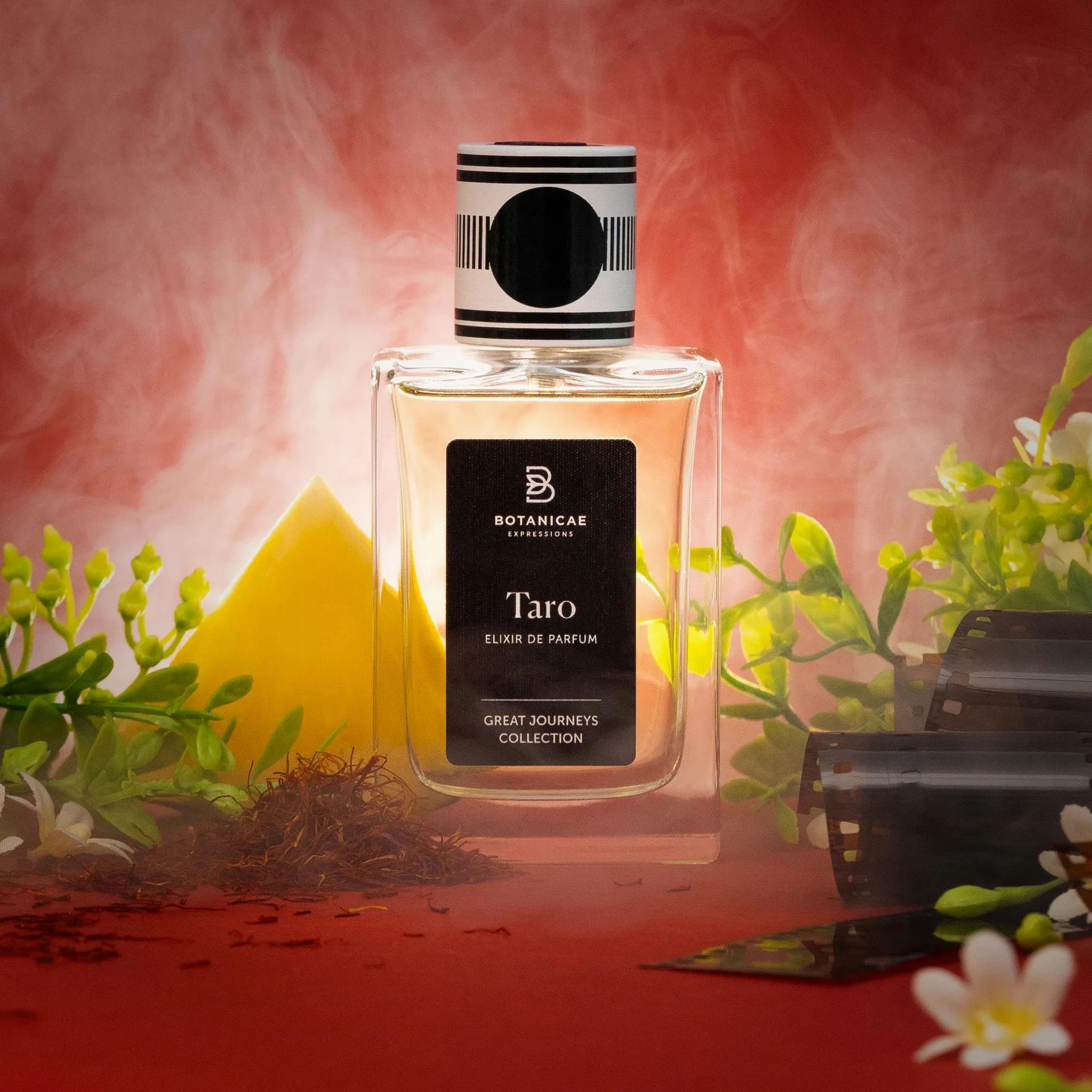 Botanicae - Profumo D'artista - Ebano -Collezione grandi Viaggi - 75 ml