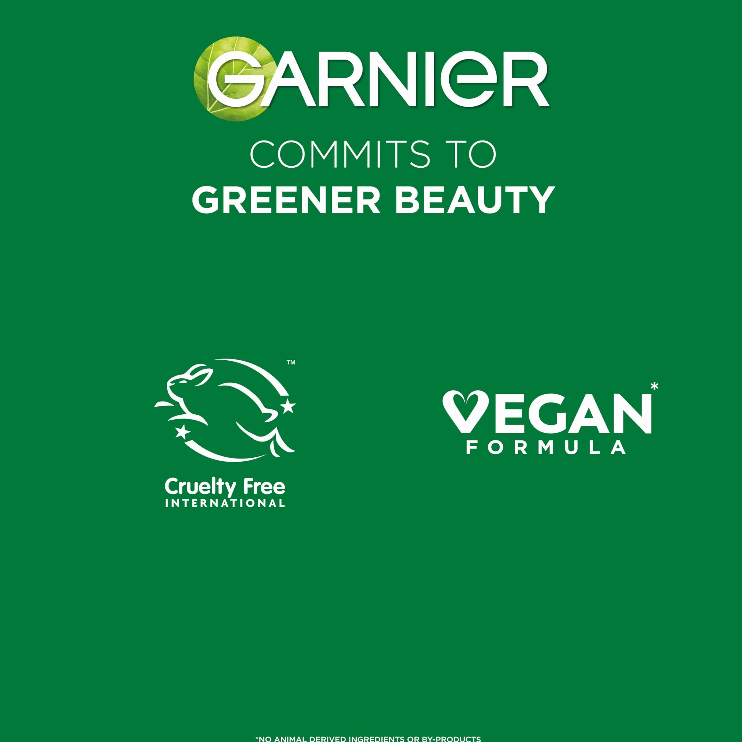 Garnier Natural Bronzer Self Tan Mousse (coccout), 300 g