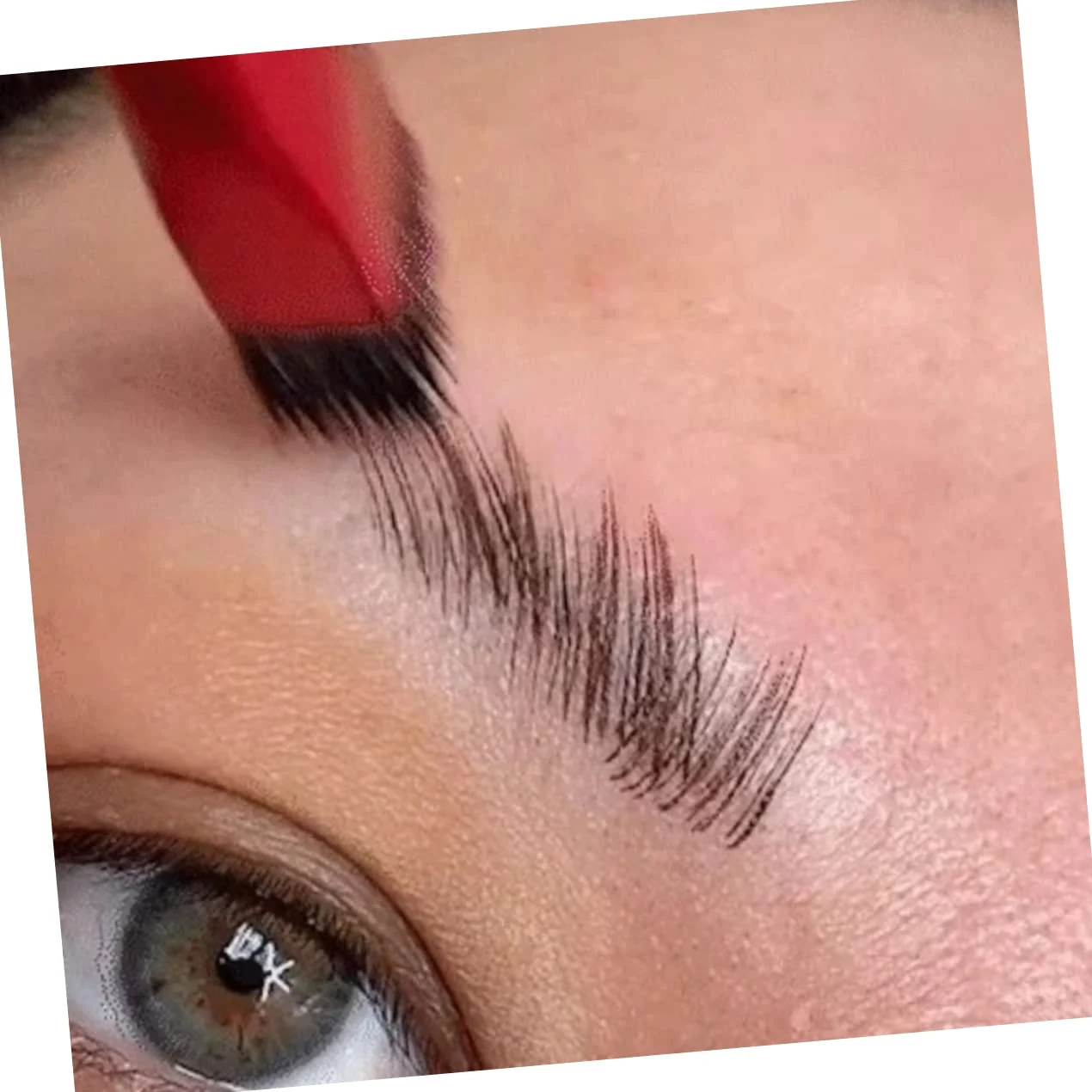 10 Pezzi Pennello Per Sopracciglia Pettine Per Sopracciglia Correttore Per Sopracciglia Sopracciglio Ad Angolo Pennello Per Eyeliner Mancare Trucco Pelliccia Sintetica