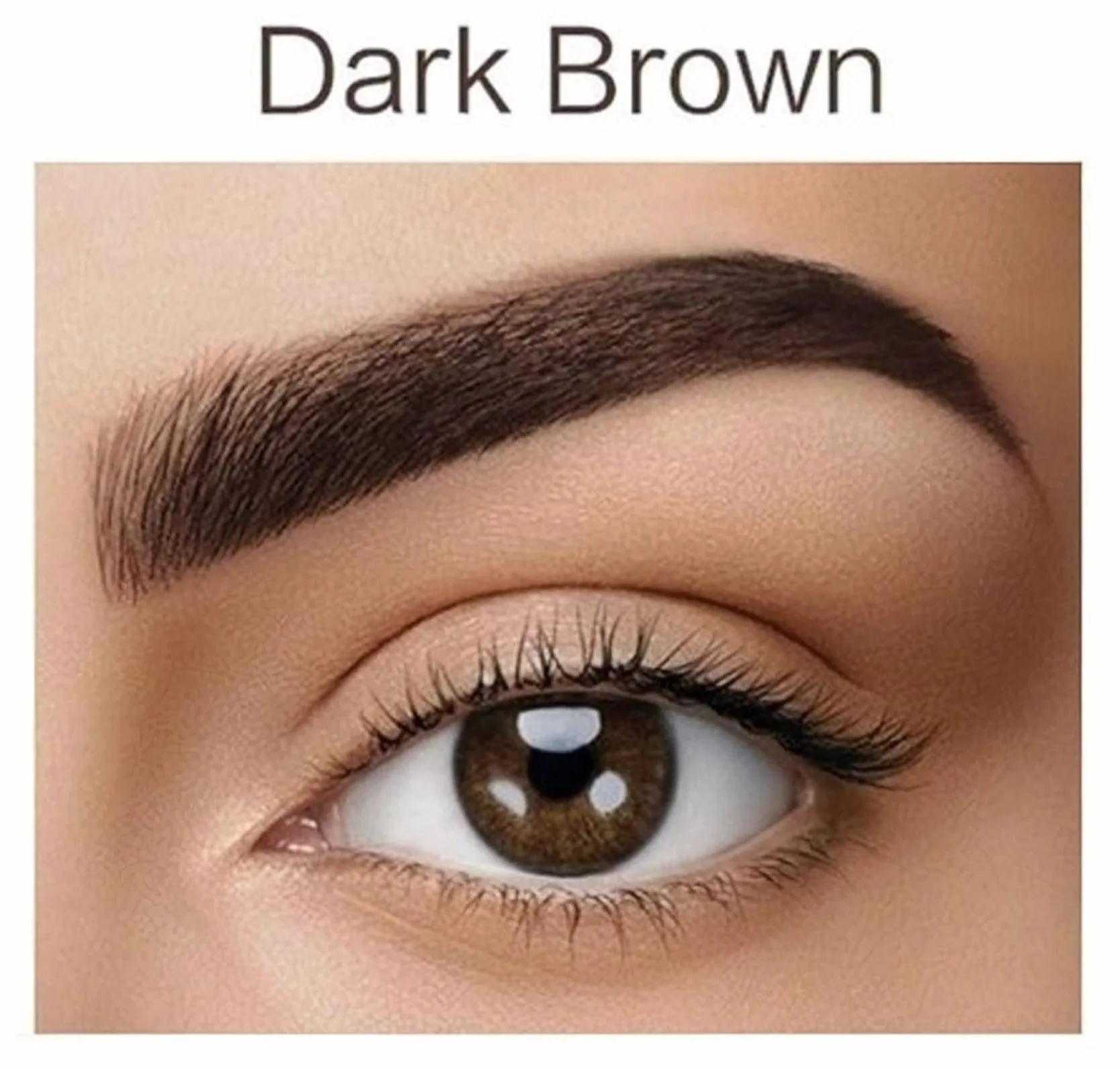 REVERS COSMETICS Tinta Sopracciglia con Olio di Argan e Olio di RIcino (Omega 6, Carotene, Vitamins A, E, F,) Risultato Naturale, Dura Fino a 4 Settimane, 15+ Applicazioni (Castano Scuro)