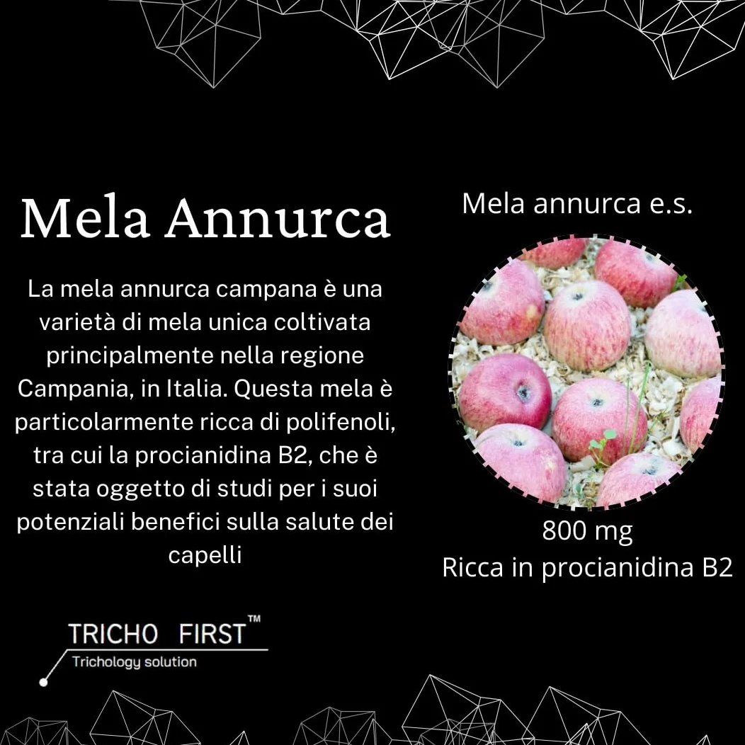 ANNURBULB - Integratore Capelli a base di MELA ANNURCA CAMPANA, PINO MARITTIMO, EQUISETO contro la Caduta dei Capelli- Formato da 90 CAPSULE - UOMO - DONNA
