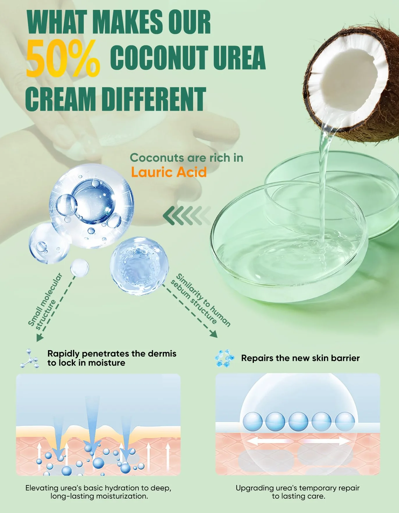 Crema Urea 50% per piedi Spessore massimo 150 grammi con cocco e 2% acido salicilico, crema piedi e mani con acido ialuronico, tea tree e aloe vera per umidificazione profonda, calli