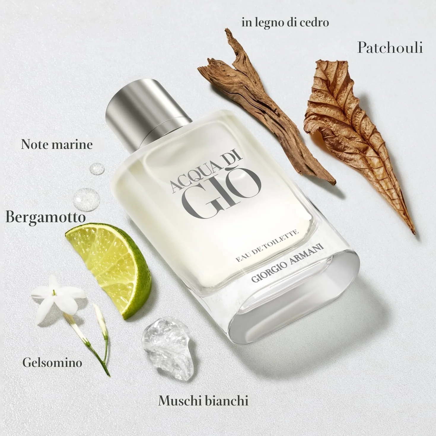 Giorgio Armani Acqua di Gio Homme Eau de Toilette 100 ml