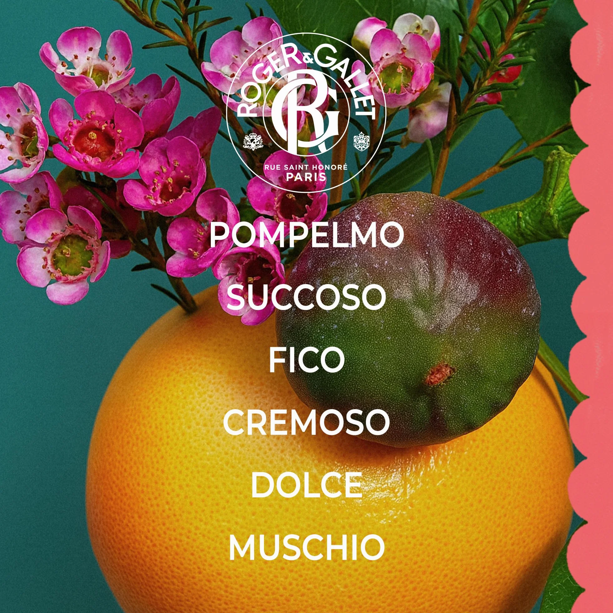 Roger&Gallet - Fleur de Figuier - Profumo Solido di Benessere - Fico, Muschio, Pompelmo - 5g