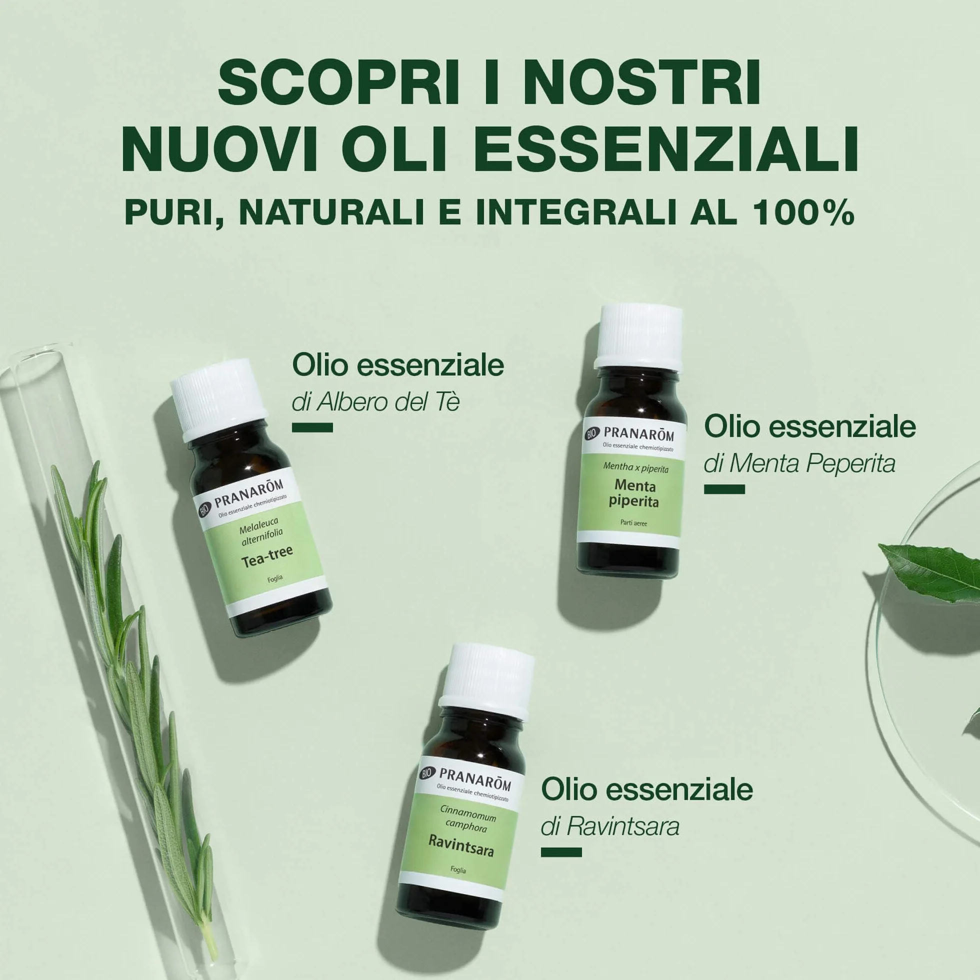 Olio Essenziale Menta Piperita BIO Chemiotipizzato 10 ml Puro Naturale