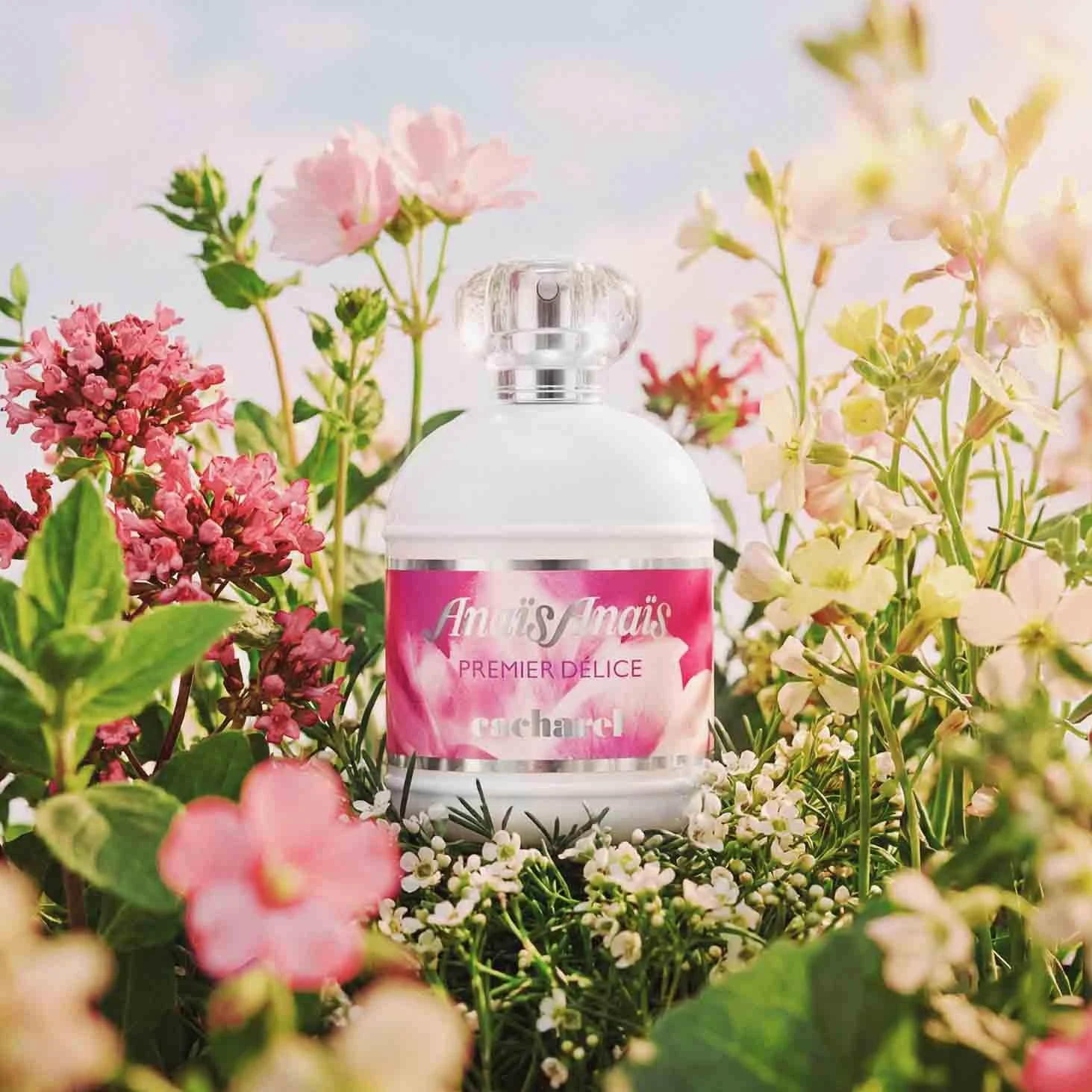 Cacharel Anaïs Anaïs Premier Délice EDT, profumo donna fresco, 50ml