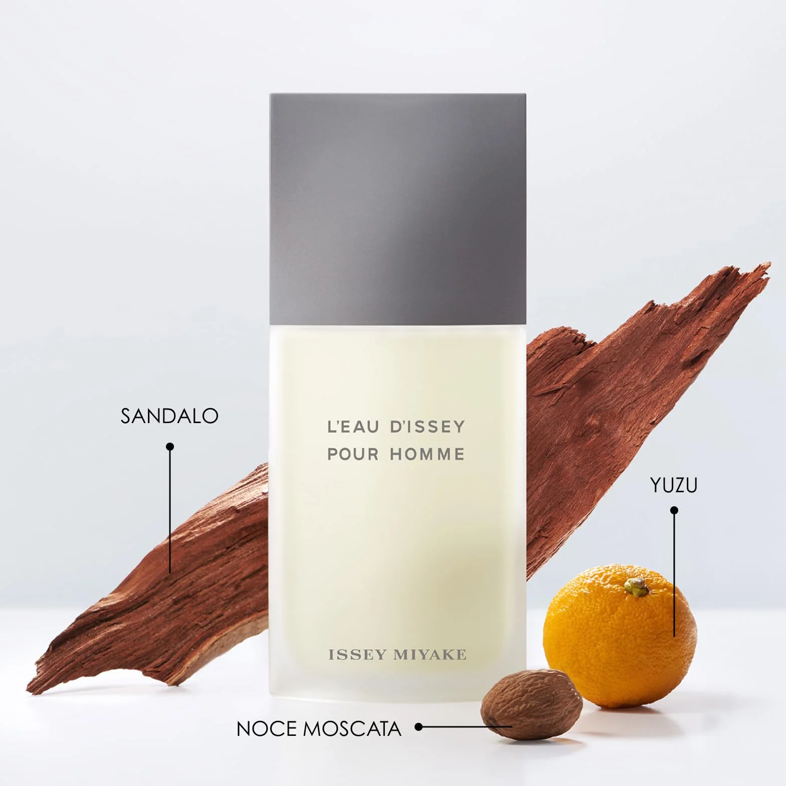 L'Eau d'Issey pour Homme Eau de Toilette