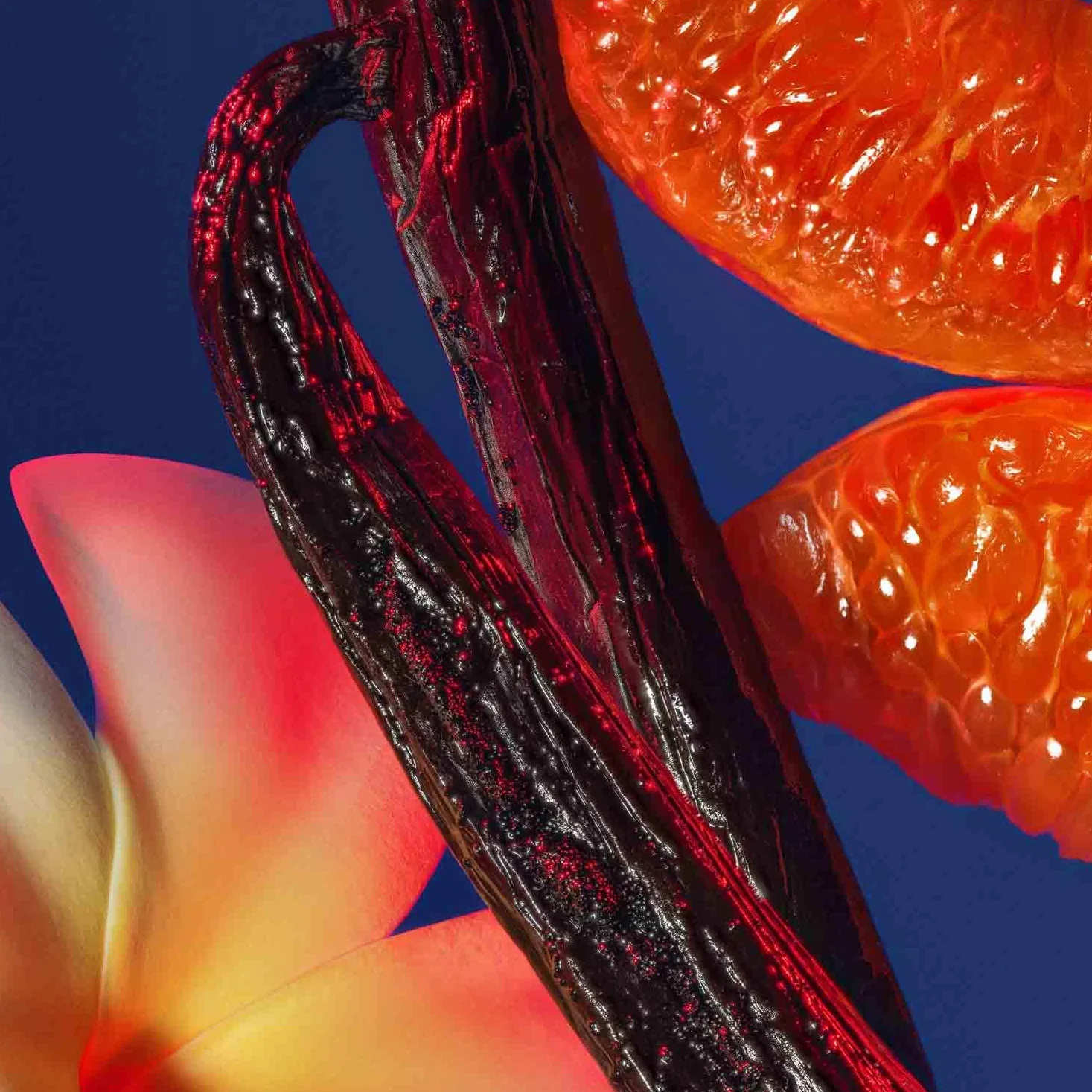 Cacharel Loulou Eau de Parfum Donna, Profumo Donna Seducente, Sensuale ed Enigmatico, Fragranza Ambrata e Floreale, Con Fiore di Tiaré e Vaniglia, A Lunga Durata, Profumo di Lusso per Donna