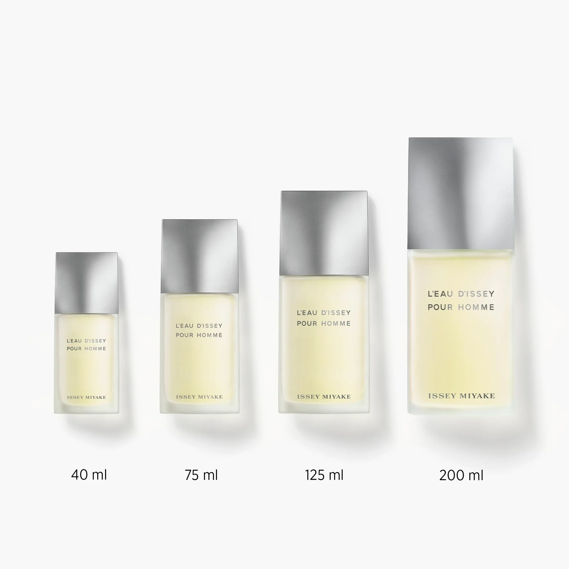 L'Eau d'Issey pour Homme Eau de Toilette