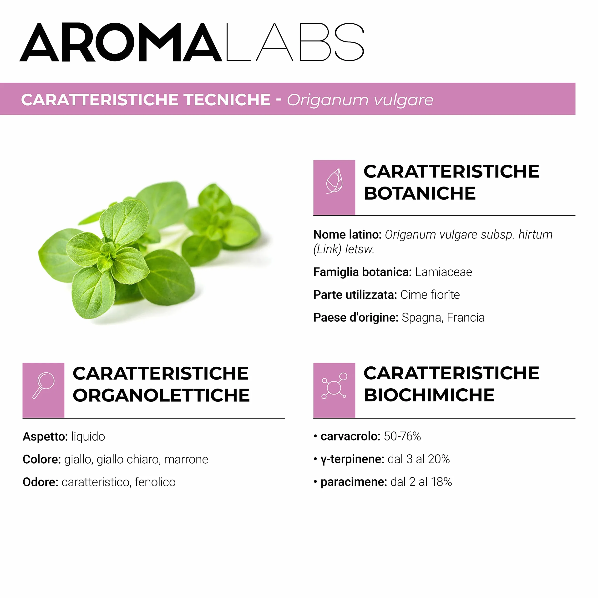 Olio Essenziale Origano Verde BIO Chemiotipizzato Certificato AB 5 mL Aroma Labs Difese naturali Made in France