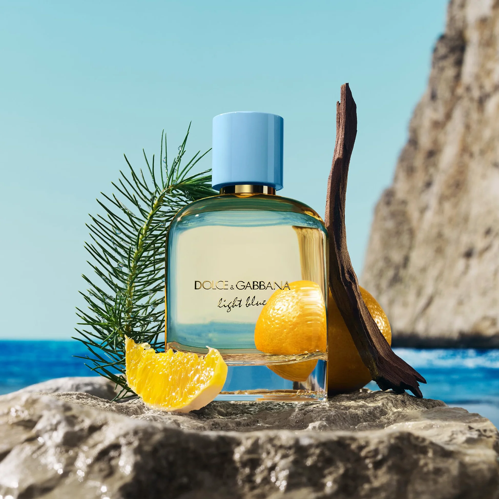 Dolce & Gabbana Light Blue, Eau de Parfum, Fragranza Fresca e Leggera, Flacone da 50ml