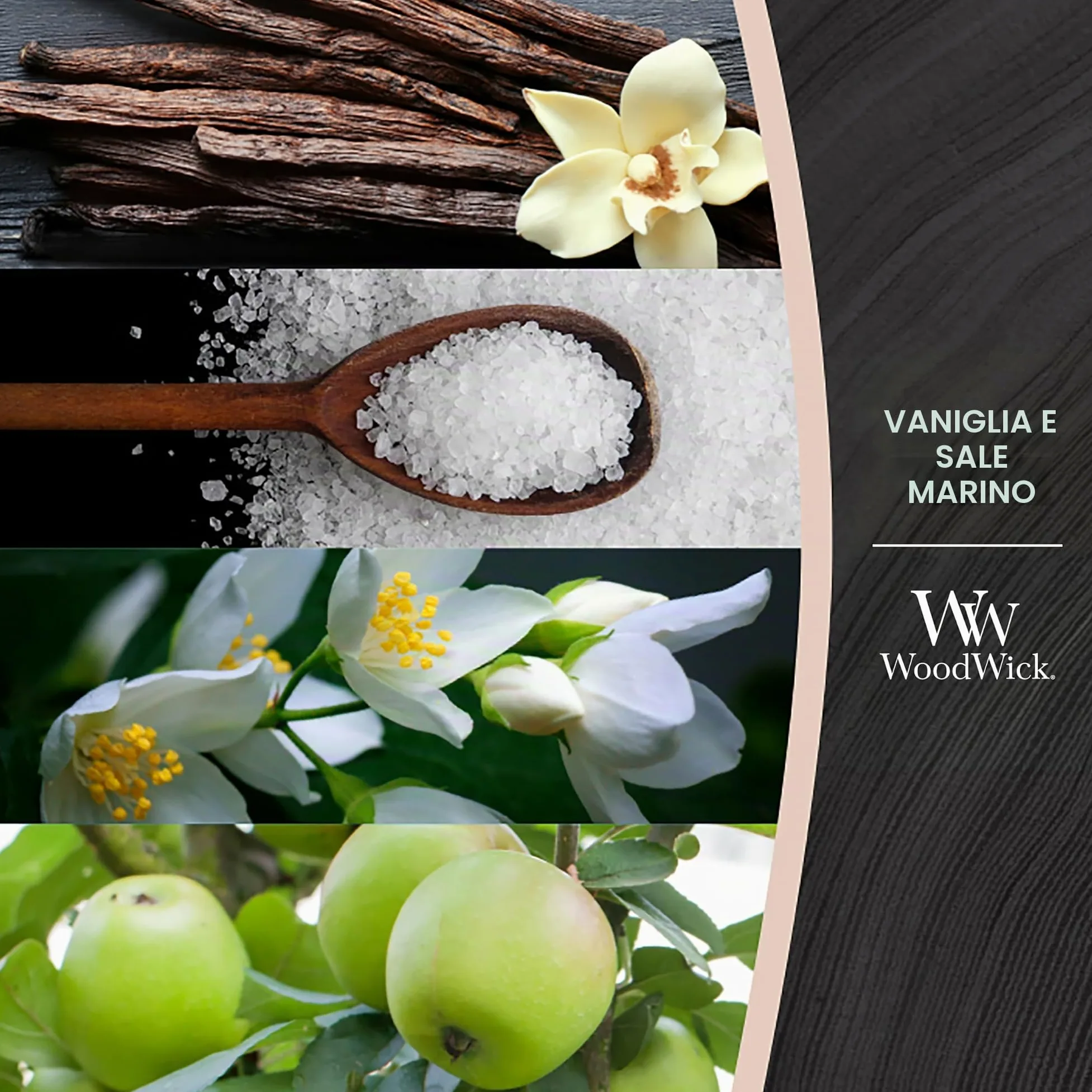WoodWick Candela profumata Hourglass media con stoppino crepitante | Vaniglia e sale marino | Durata della fragranza: fino a 20 ore (Confezione da 2)