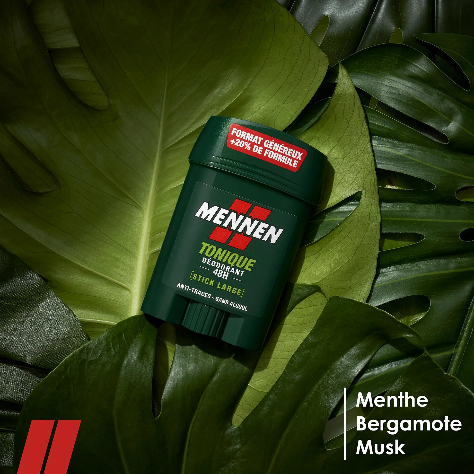 MENNEN - Deodorante stick Large da uomo - Anti-traspirante Efficienza 24 ore - Tonico - 50 ml - Confezione da 6