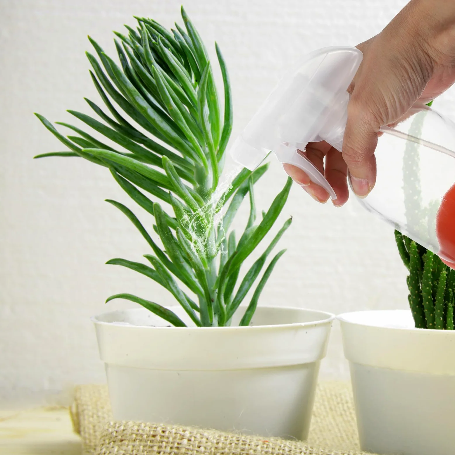 Flaconi Spray Ricaricabili 3 Pezzi in Vetro Base in Silicone Antiscivolo da 500 Ml per Fiori e Uso Ufficio