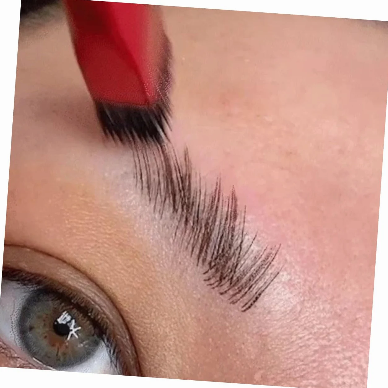 POPETPOP 10pezzi Spazzola Per Sopracciglia Angolata Strumenti Di Trucco Per Donne Per Applicare Ombretto e Portatile e Leggero