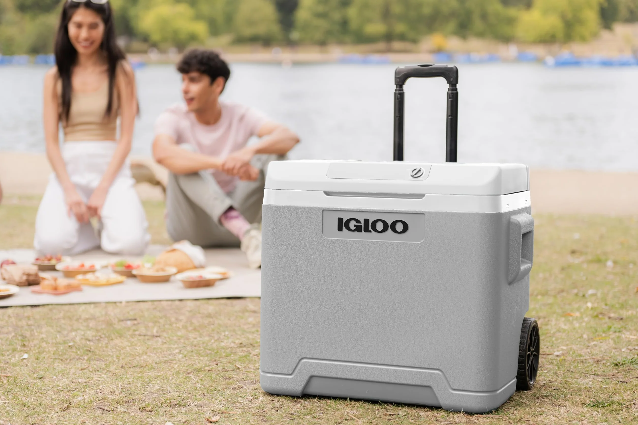 IGLOO IE42 Frigo Elettrico 12V 230V 42L Mini Frigorifero Compatto per Auto Campeggio