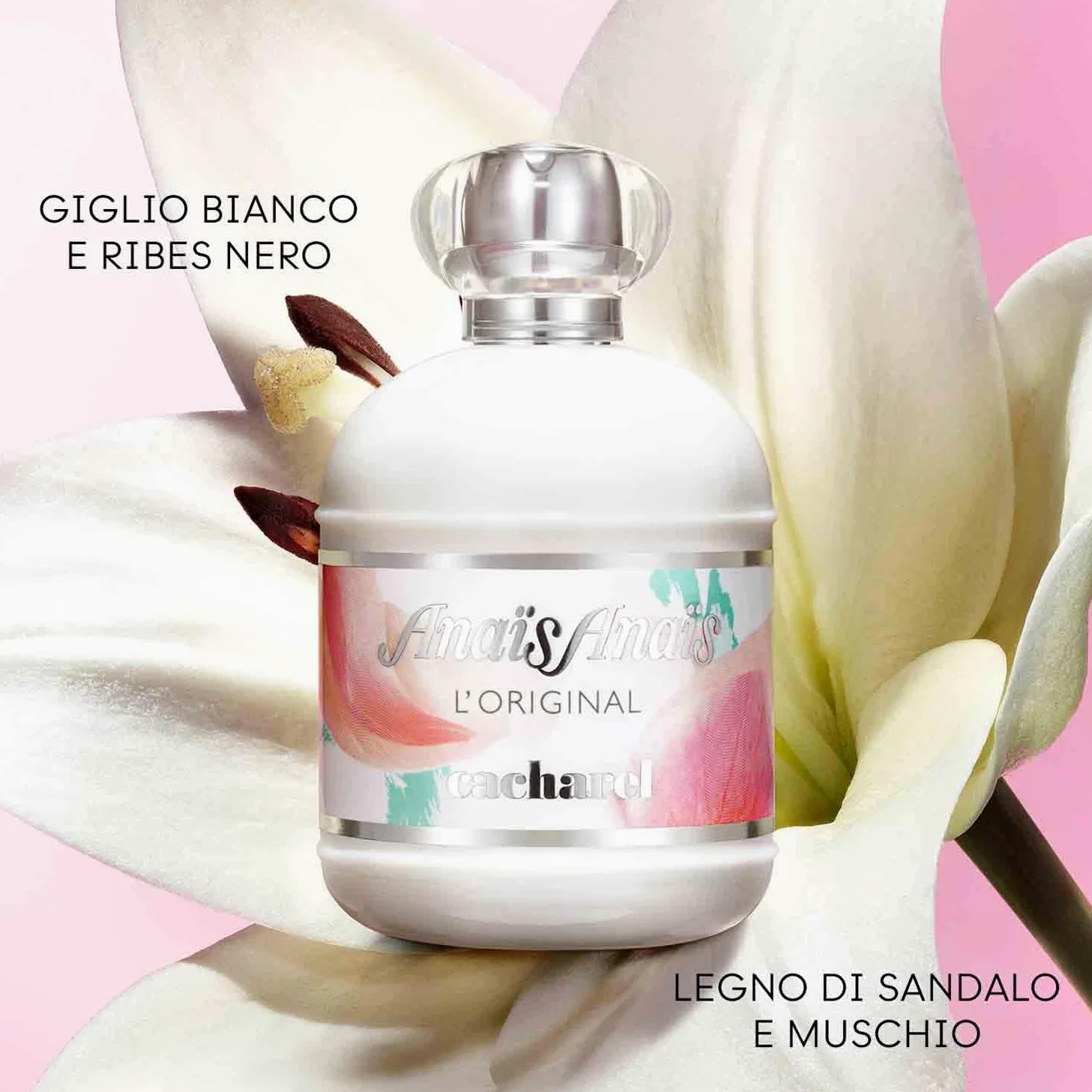 Cacharel Anaïs Anaïs Eau de Toilette Donna, Profumo Donna Delicato e Tenero, Fragranza Fresca e Floreale, Con Giglio Bianco, Gelsomino e Ribes Nero, A Lunga Durata, Profumo di Lusso per Donna