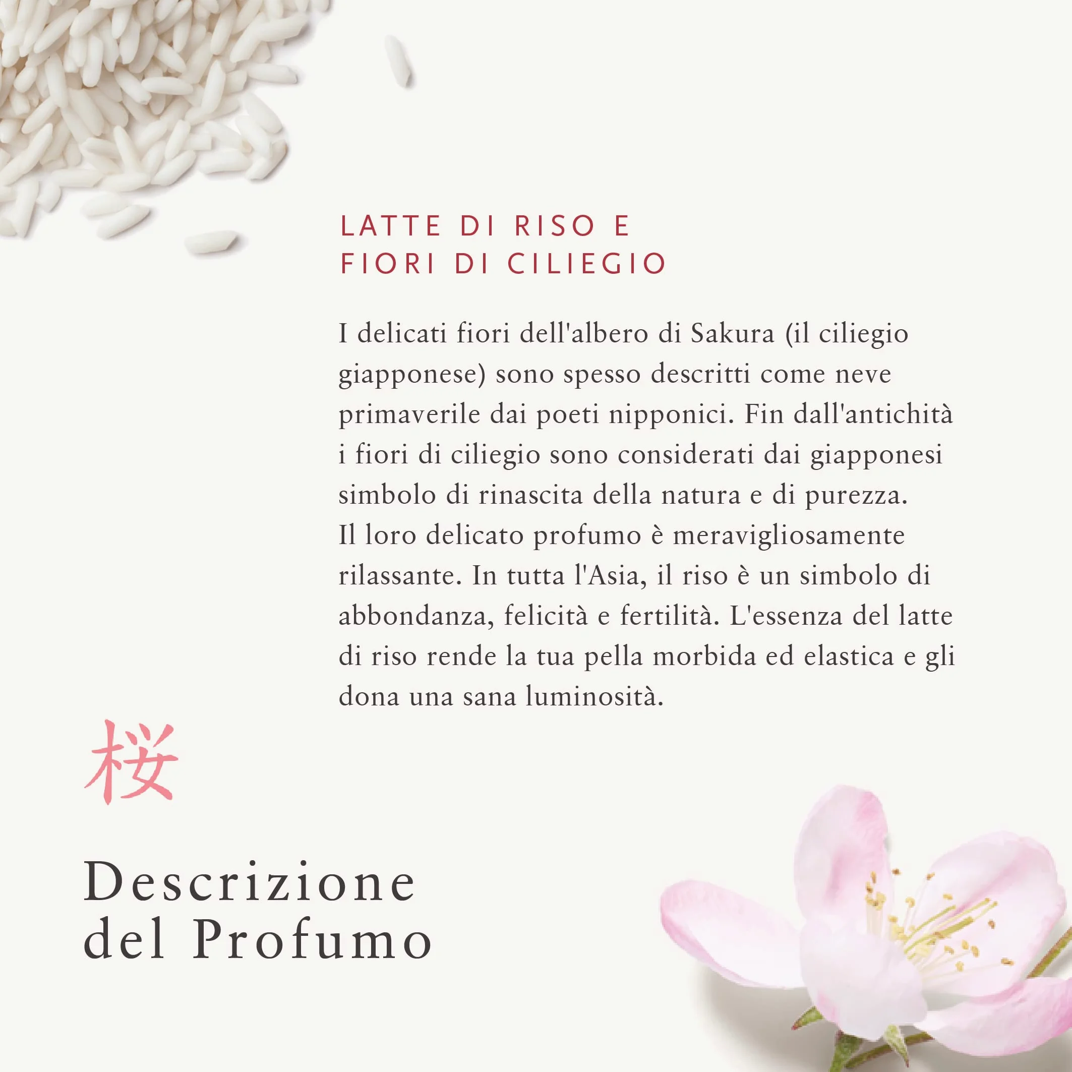 RITUALS Ricarica Crema Corpo di The Ritual of Sakura, Con Latte di Riso, Fiori di Ciliegio, Antiossidanti, Vitamina E e Centella Asiatica ‒ Nutre e Rigenera la Pelle